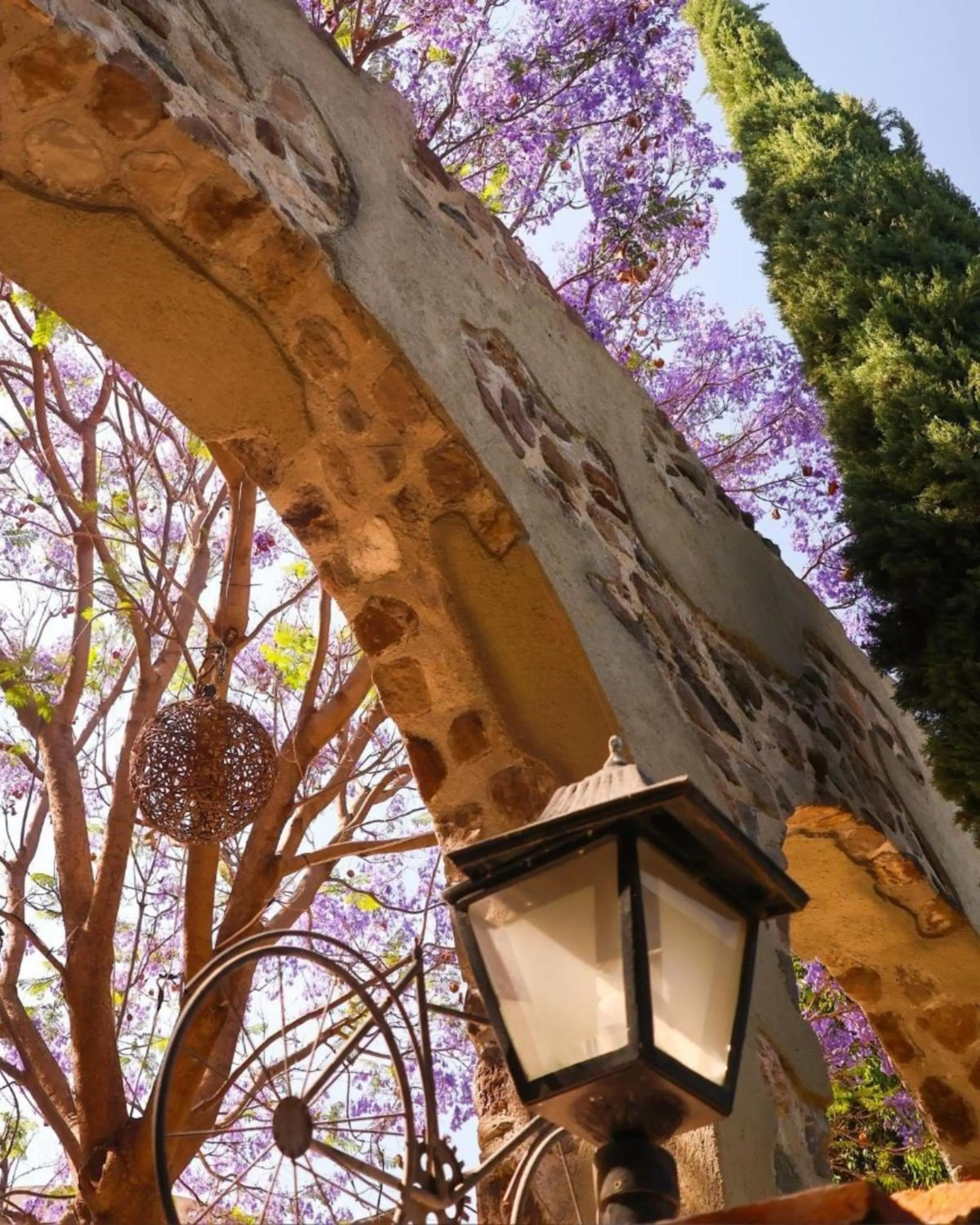 Property building in Suites Campestres Montebello