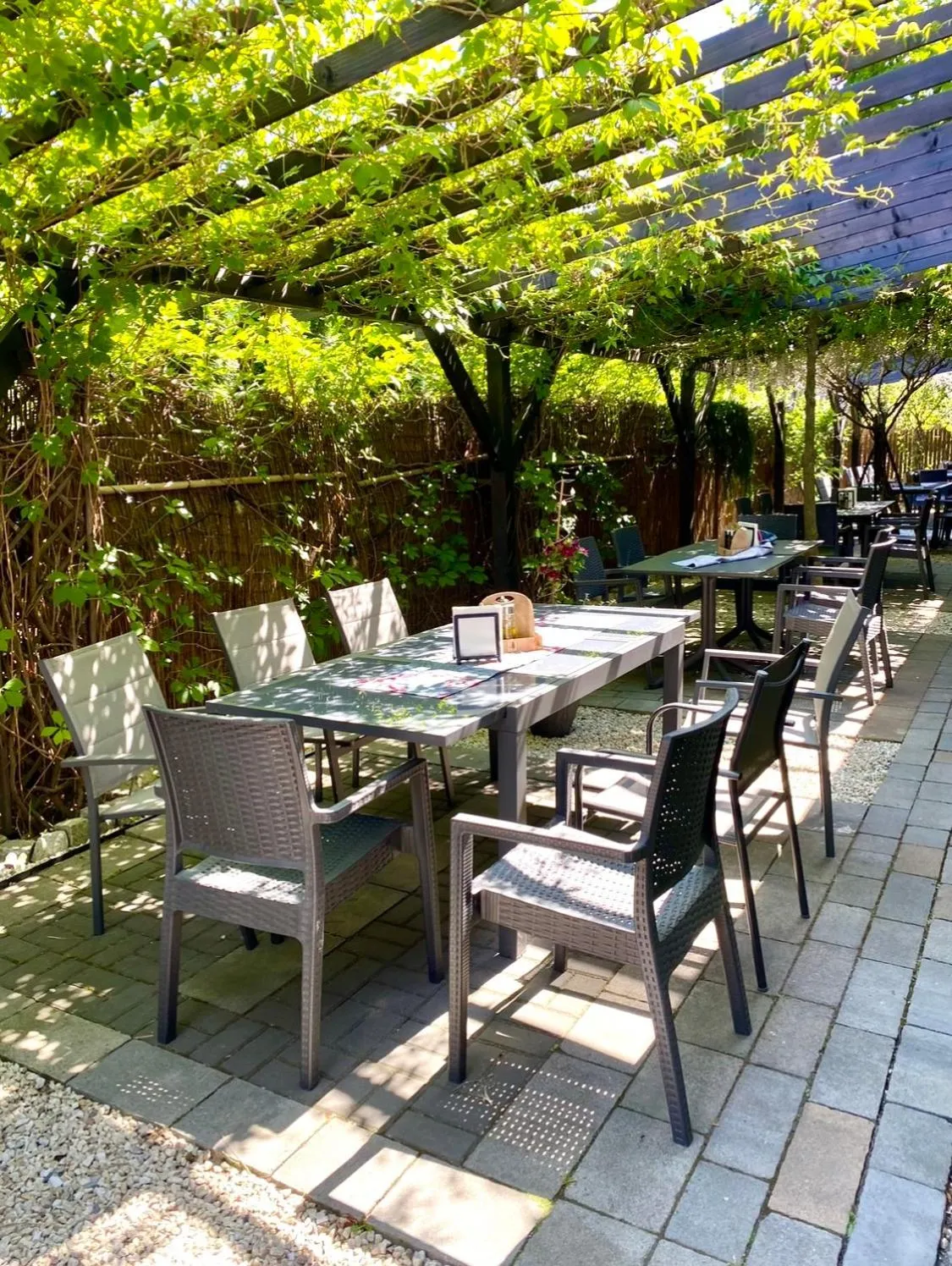 Old Tree Villa & Restaurant