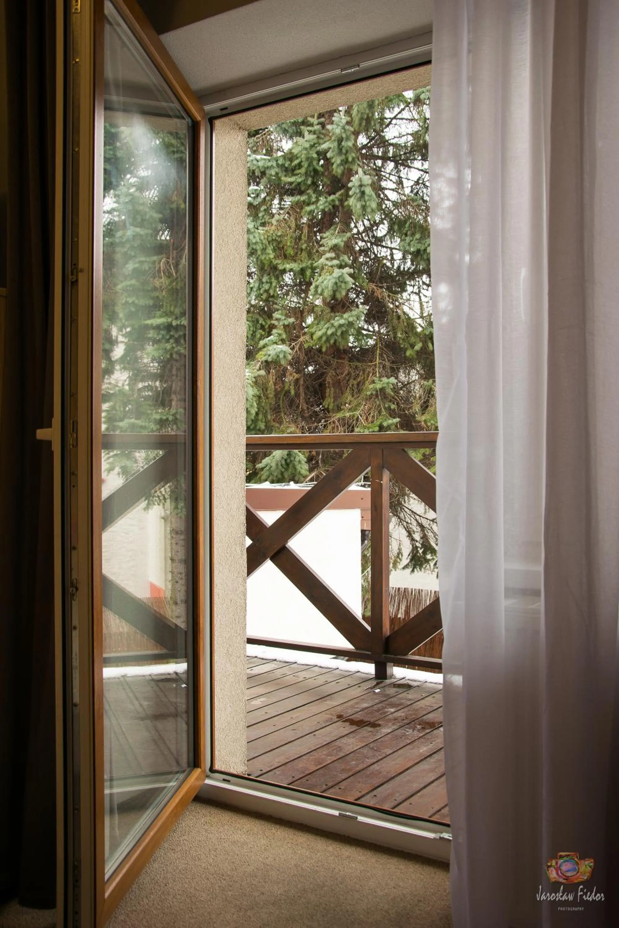Photo of the whole room in Old Tree Villa & Restaurant