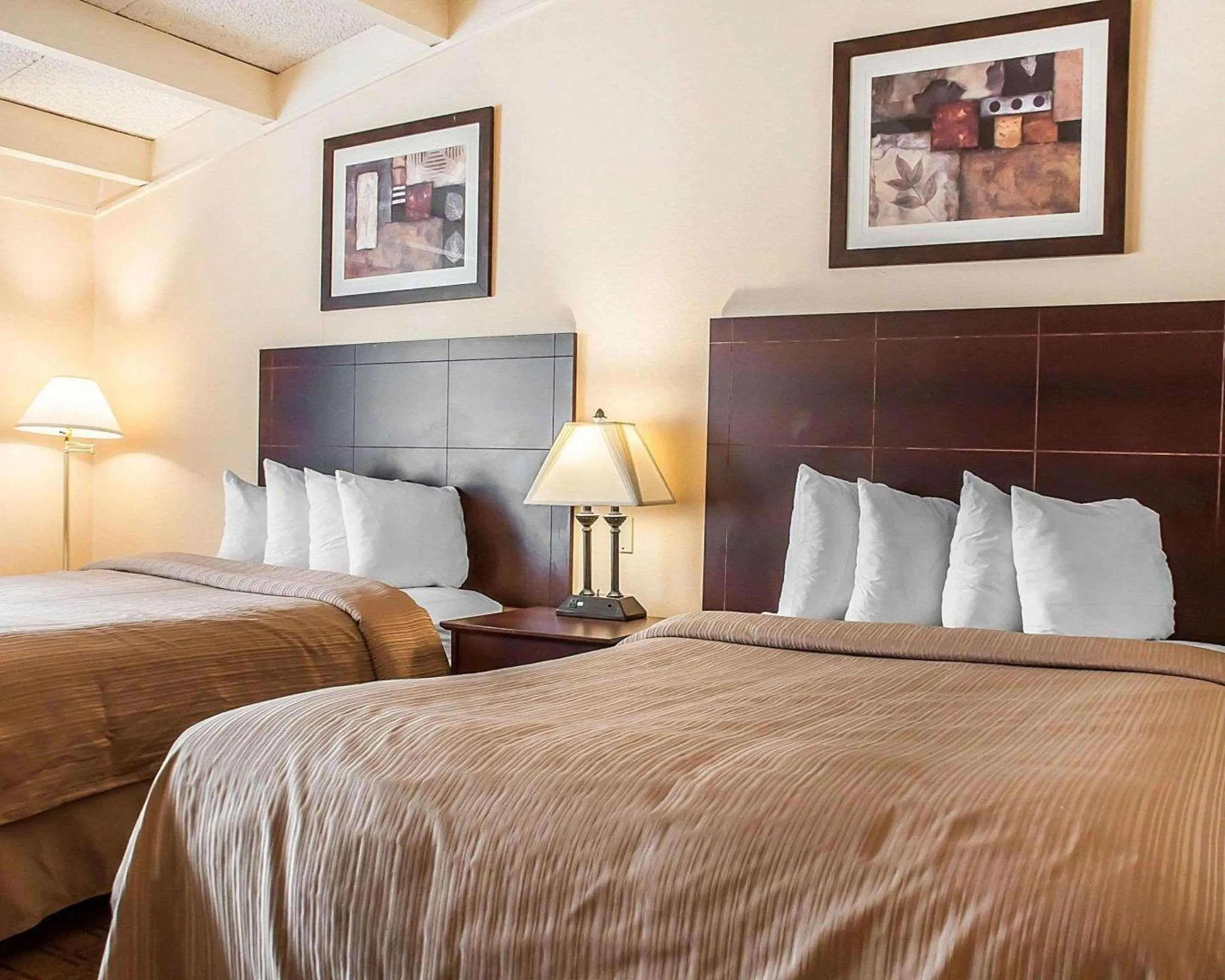 Photo of the whole room, Bed in Quality Inn Buffalo Airport