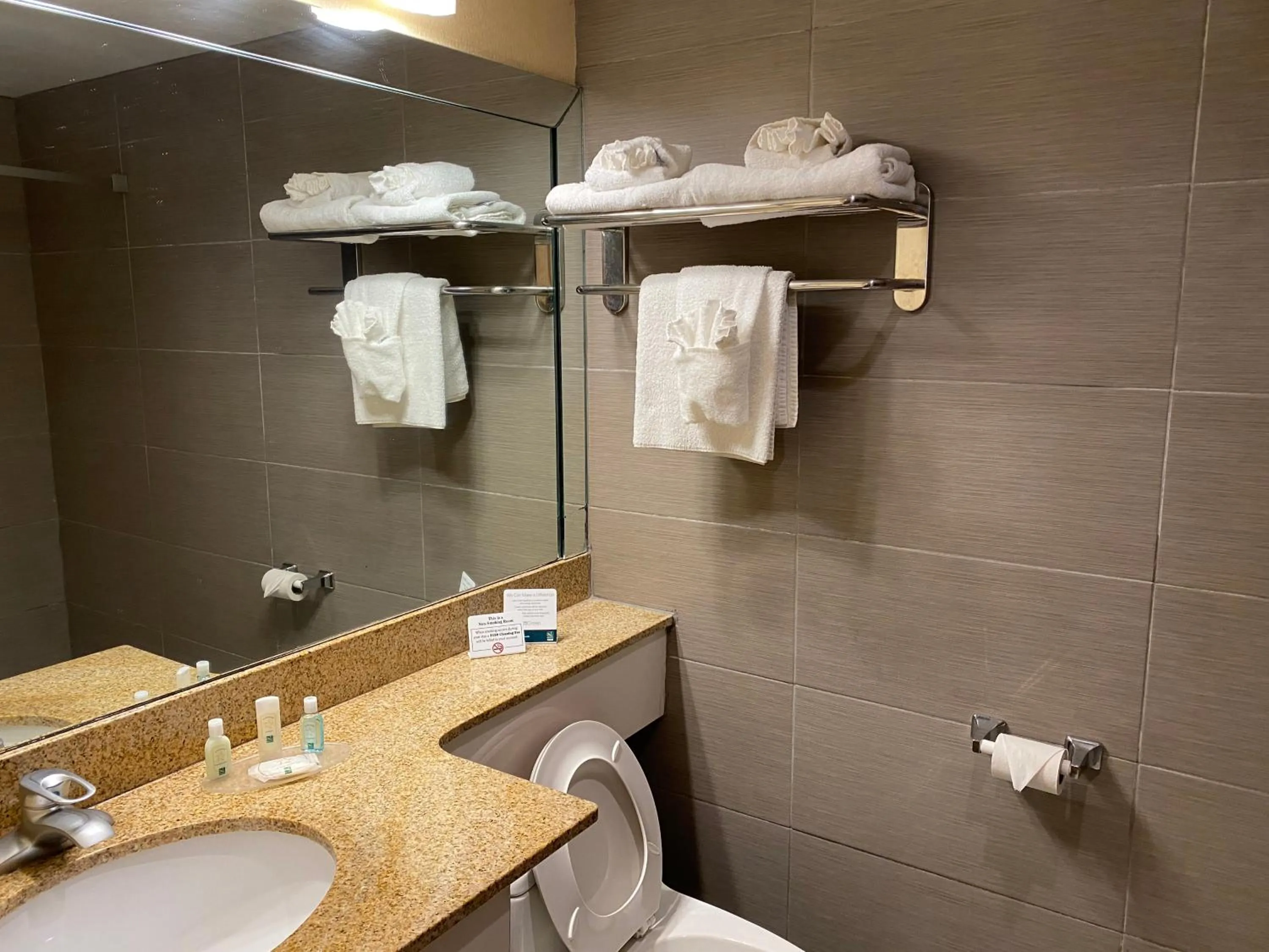 Bathroom in Quality Inn Buffalo Airport