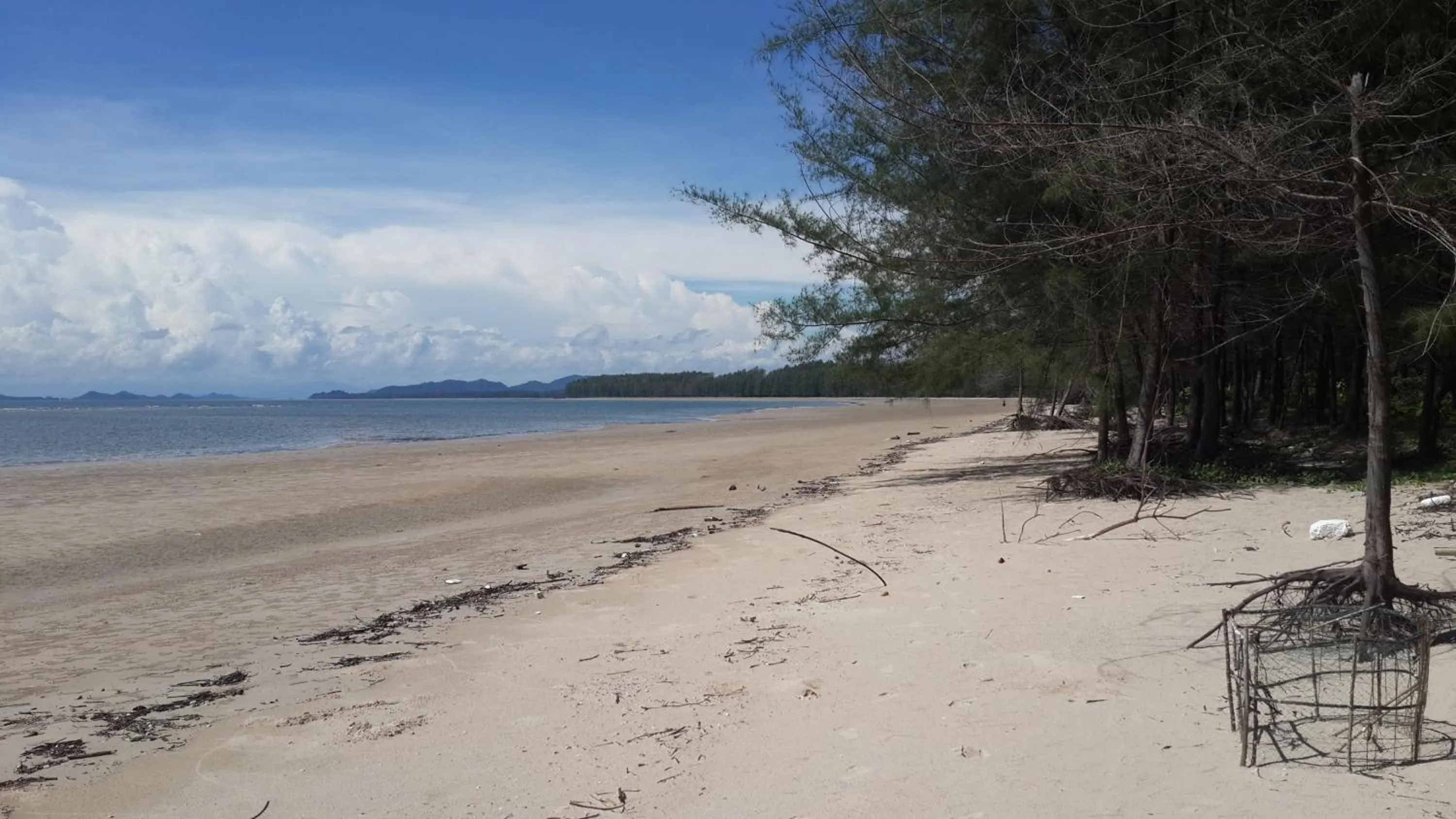 Beach in The Travelers Friend