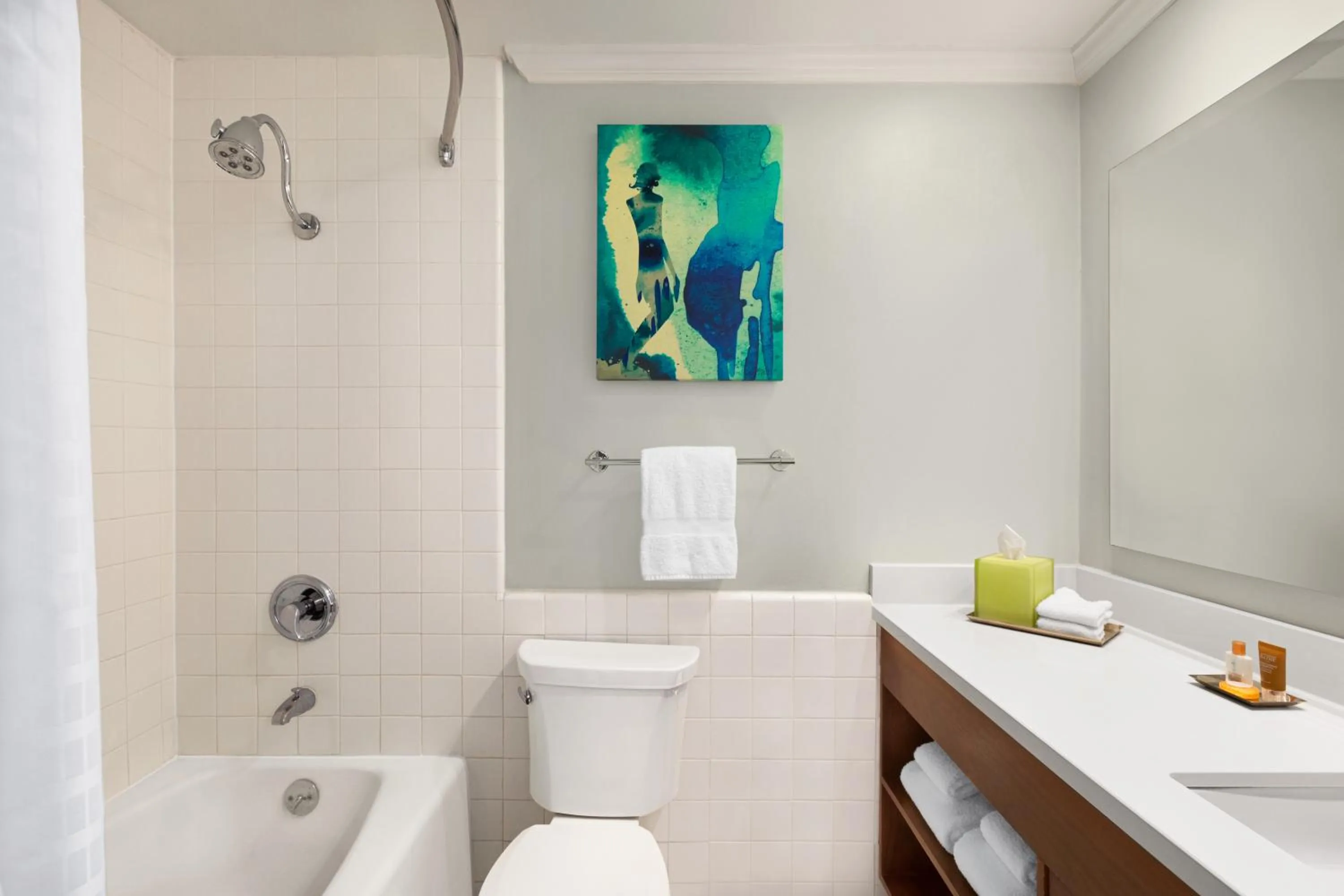 Toilet in Town and Country San Diego