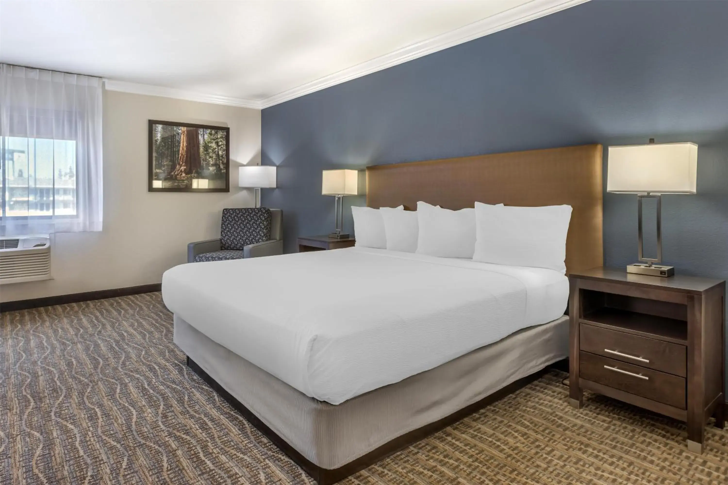 King Room - Non-Smoking in Best Western Town & Country Lodge King Room - Non-Smoking in Best Western Town & Country Lodge