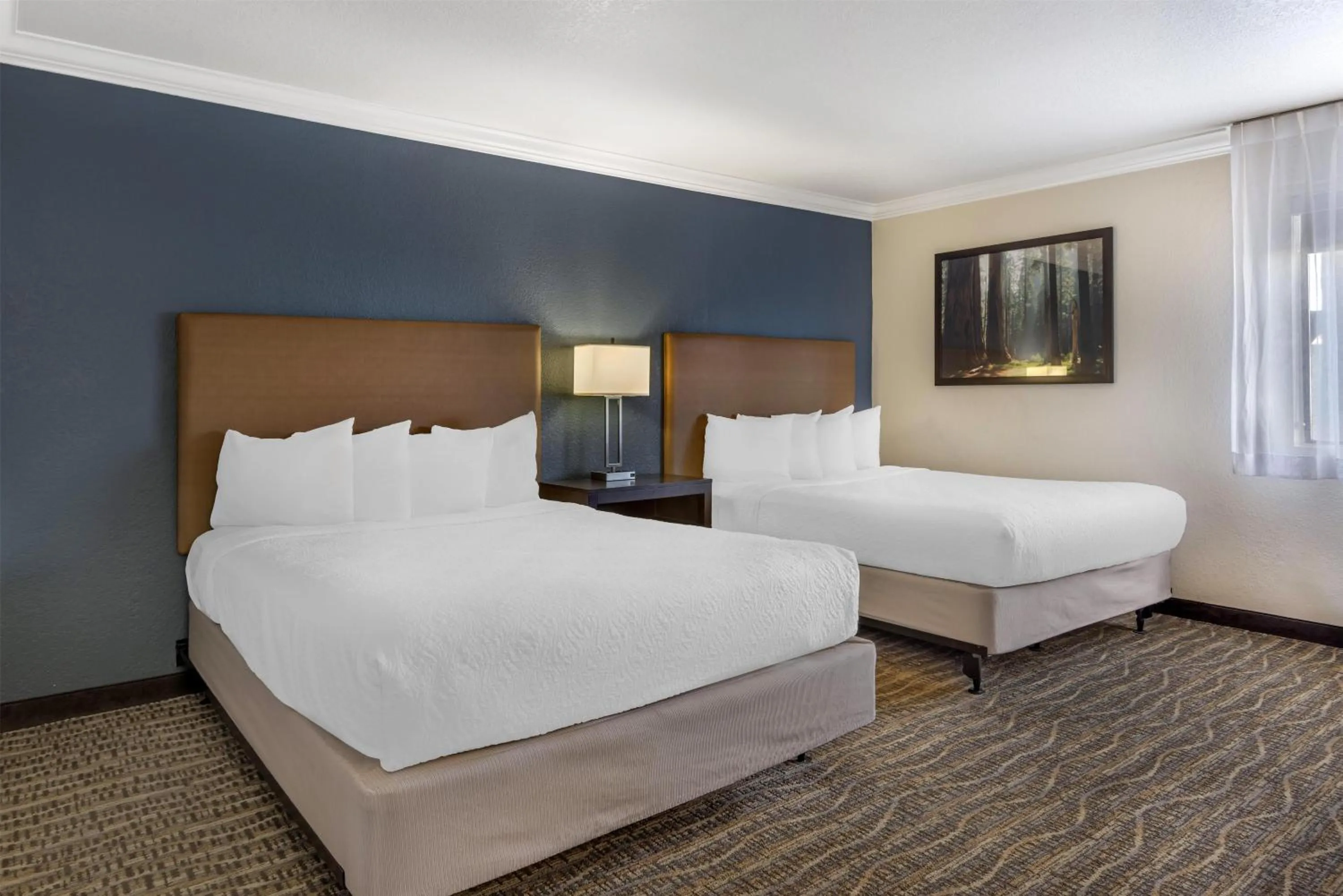 Bedroom, Bed in Best Western Town & Country Lodge