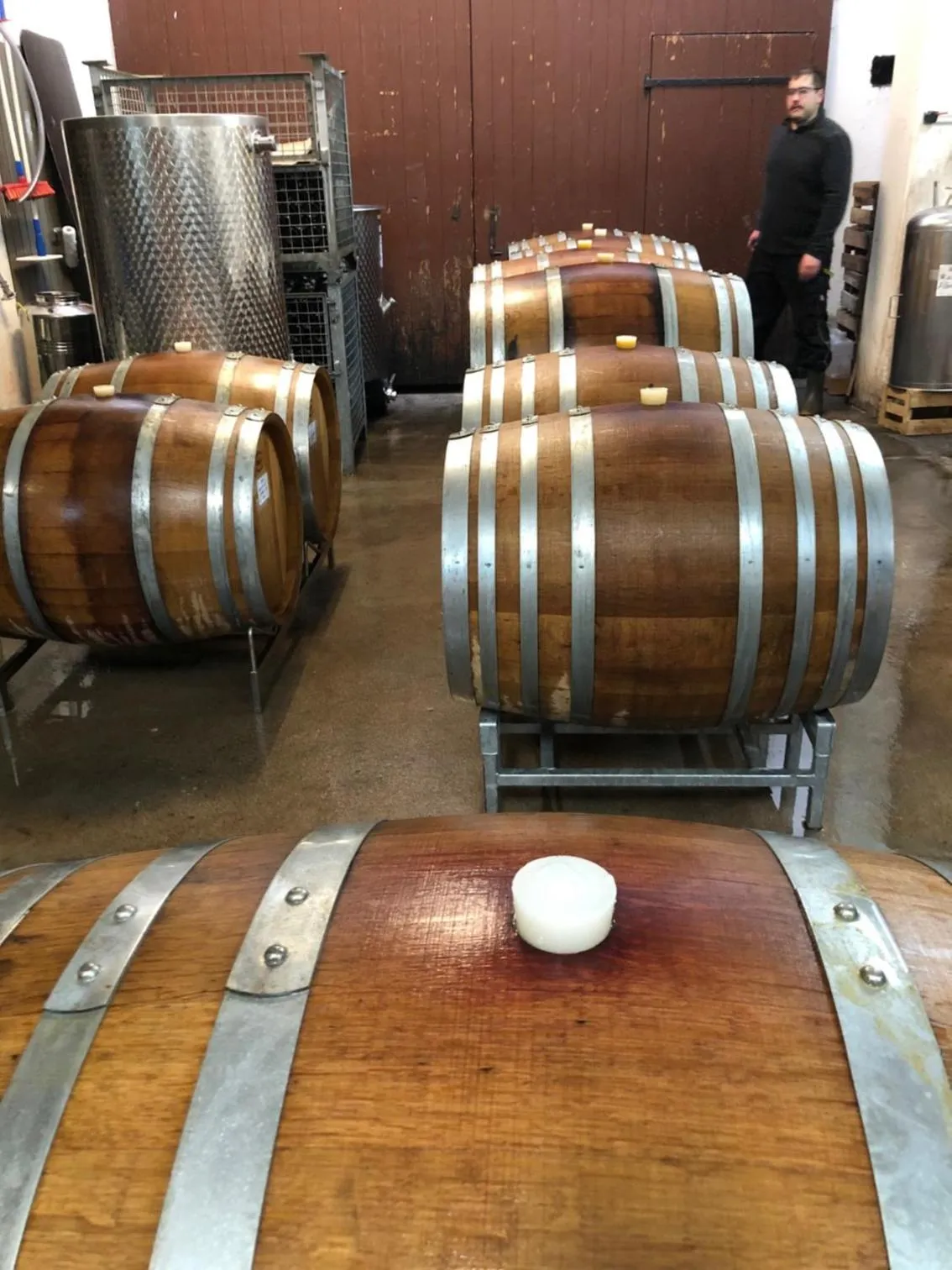 Property building in Gästehaus & Weingut PETH