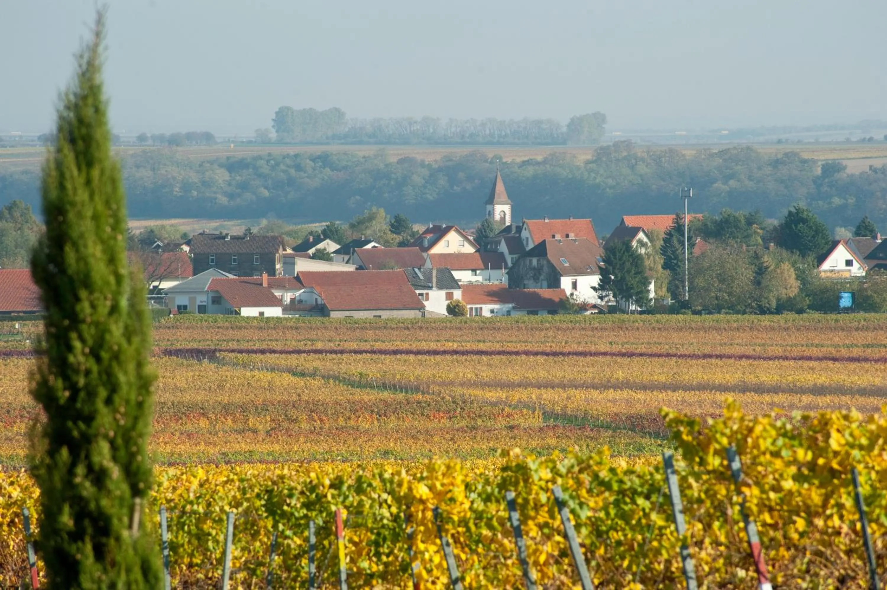 Natural landscape in Gästehaus & Weingut PETH