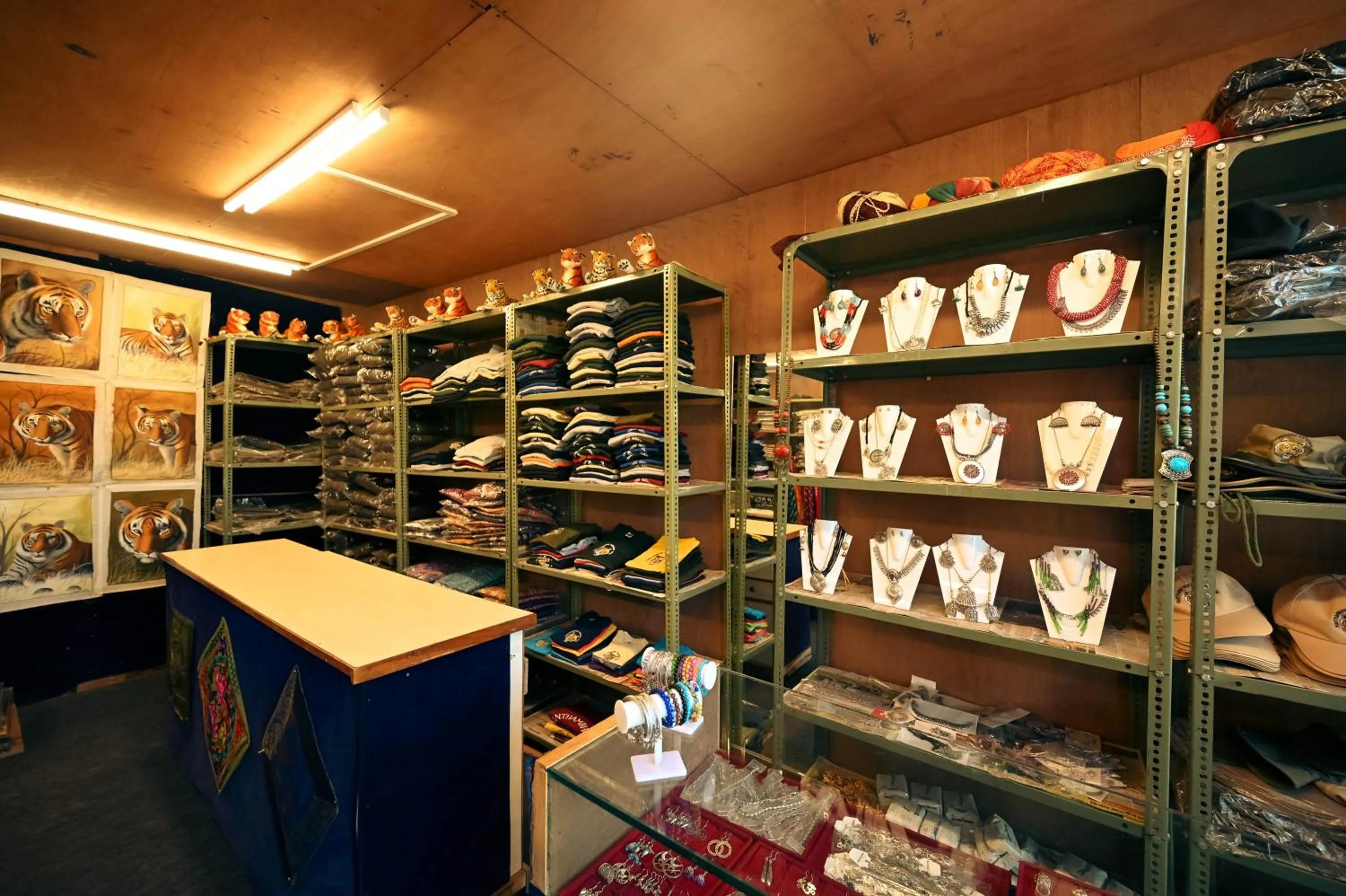 Clarks Safari Ranthambore