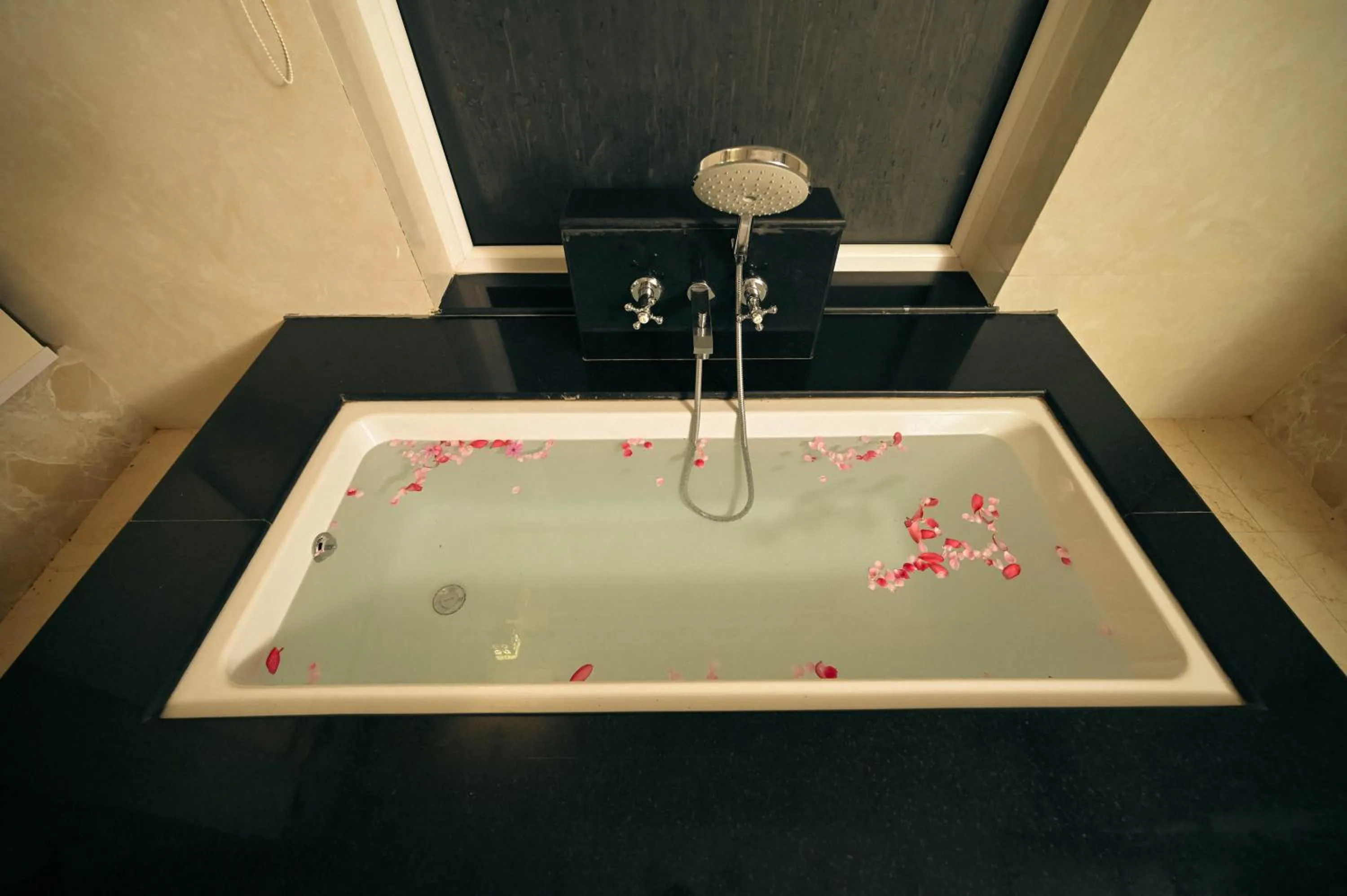 Clarks Safari Ranthambore