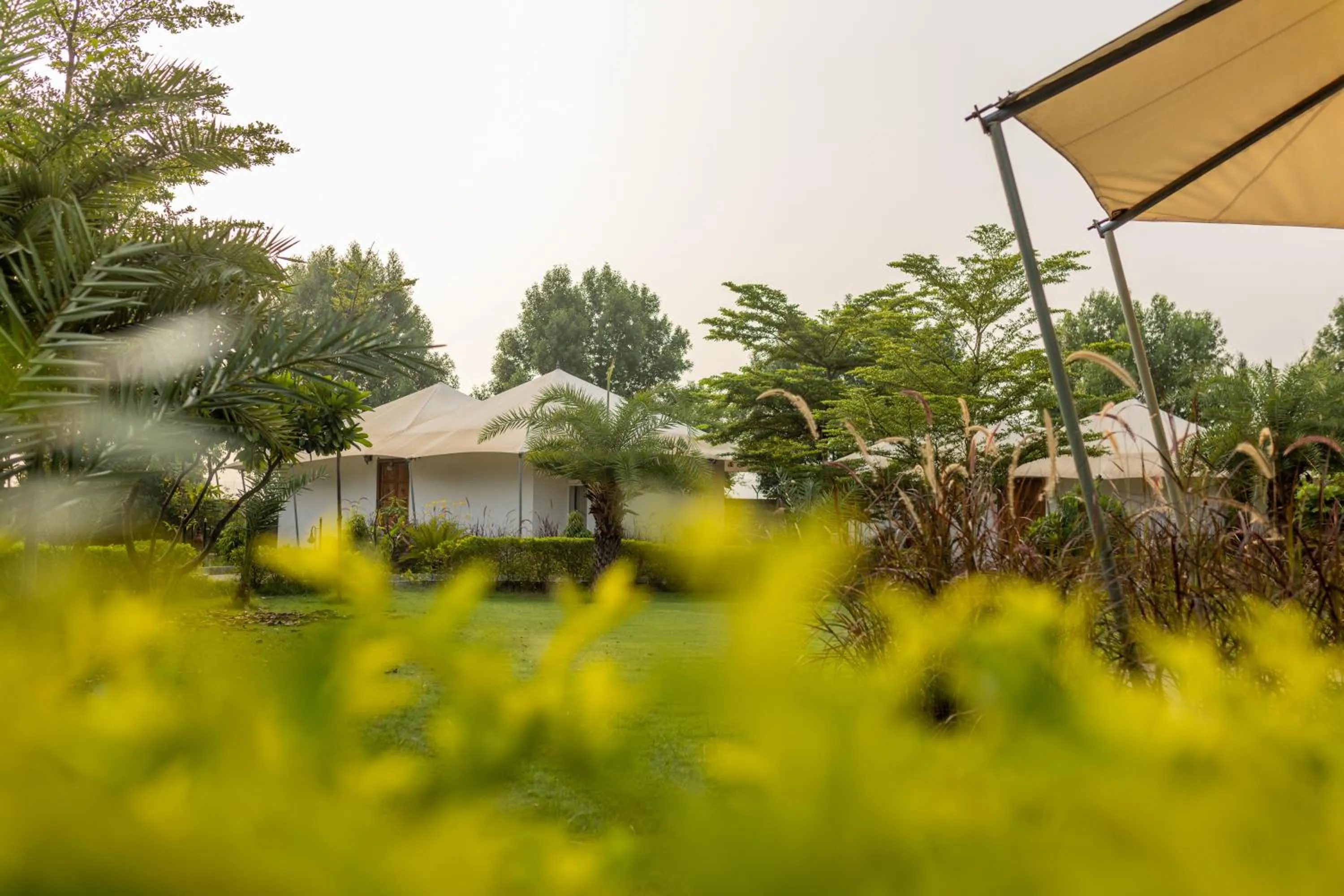 Clarks Safari Ranthambore