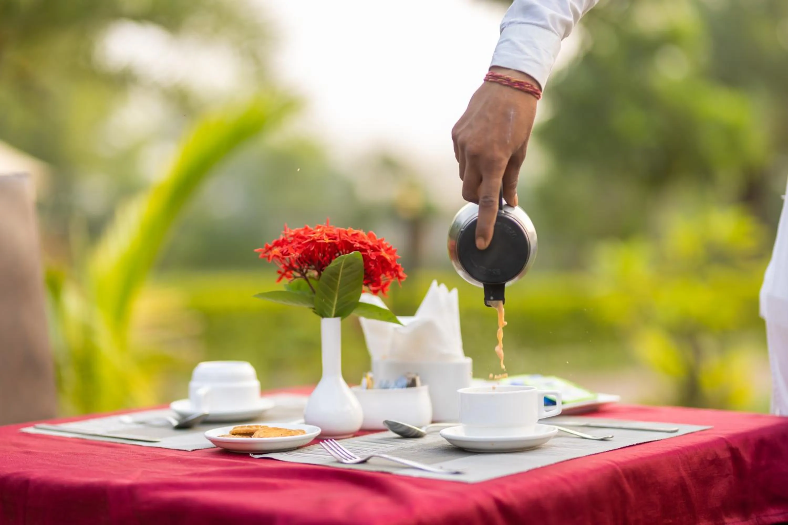 Clarks Safari Ranthambore