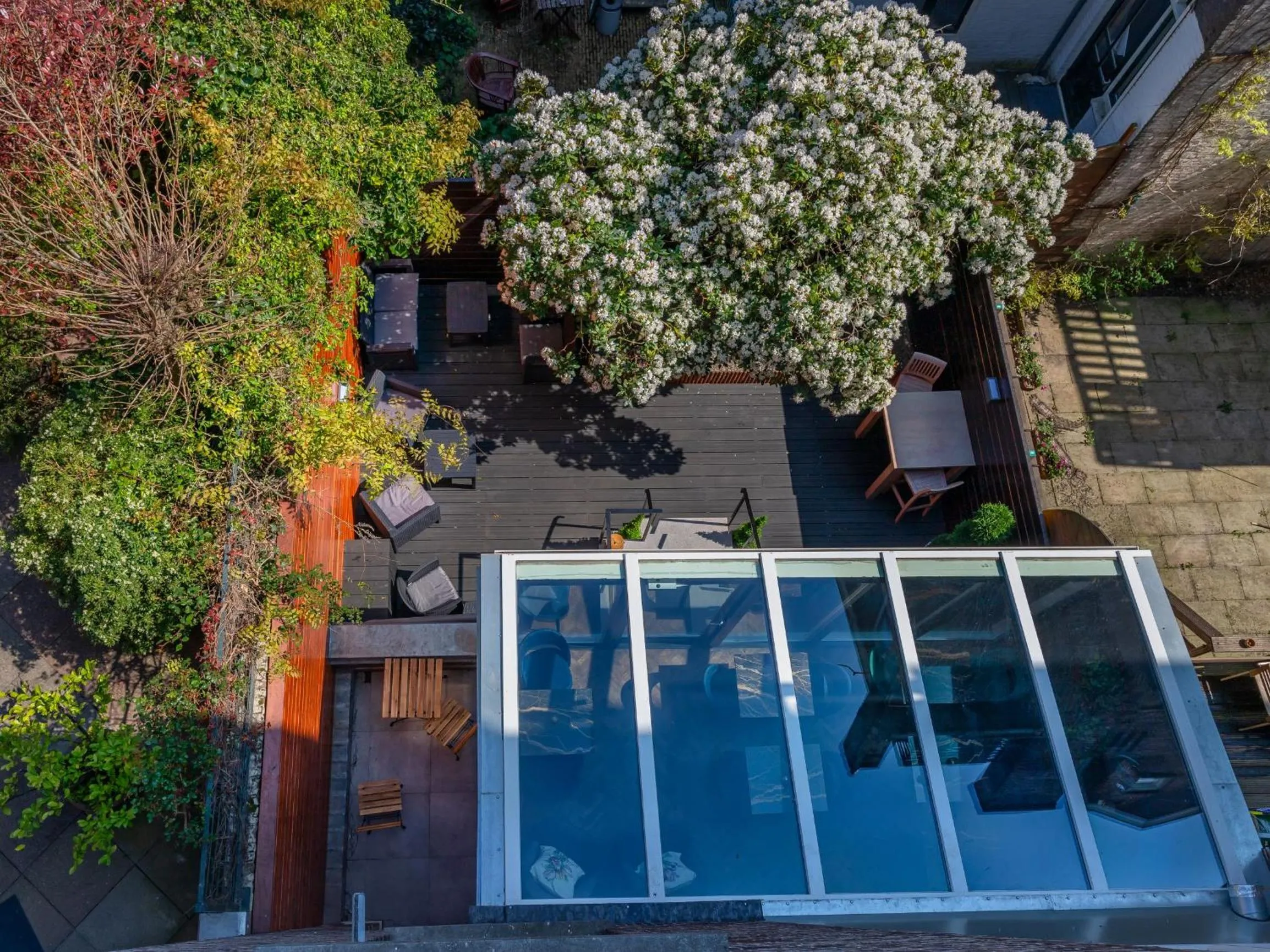 Garden view in De Ware Jacob Boutique Hotel