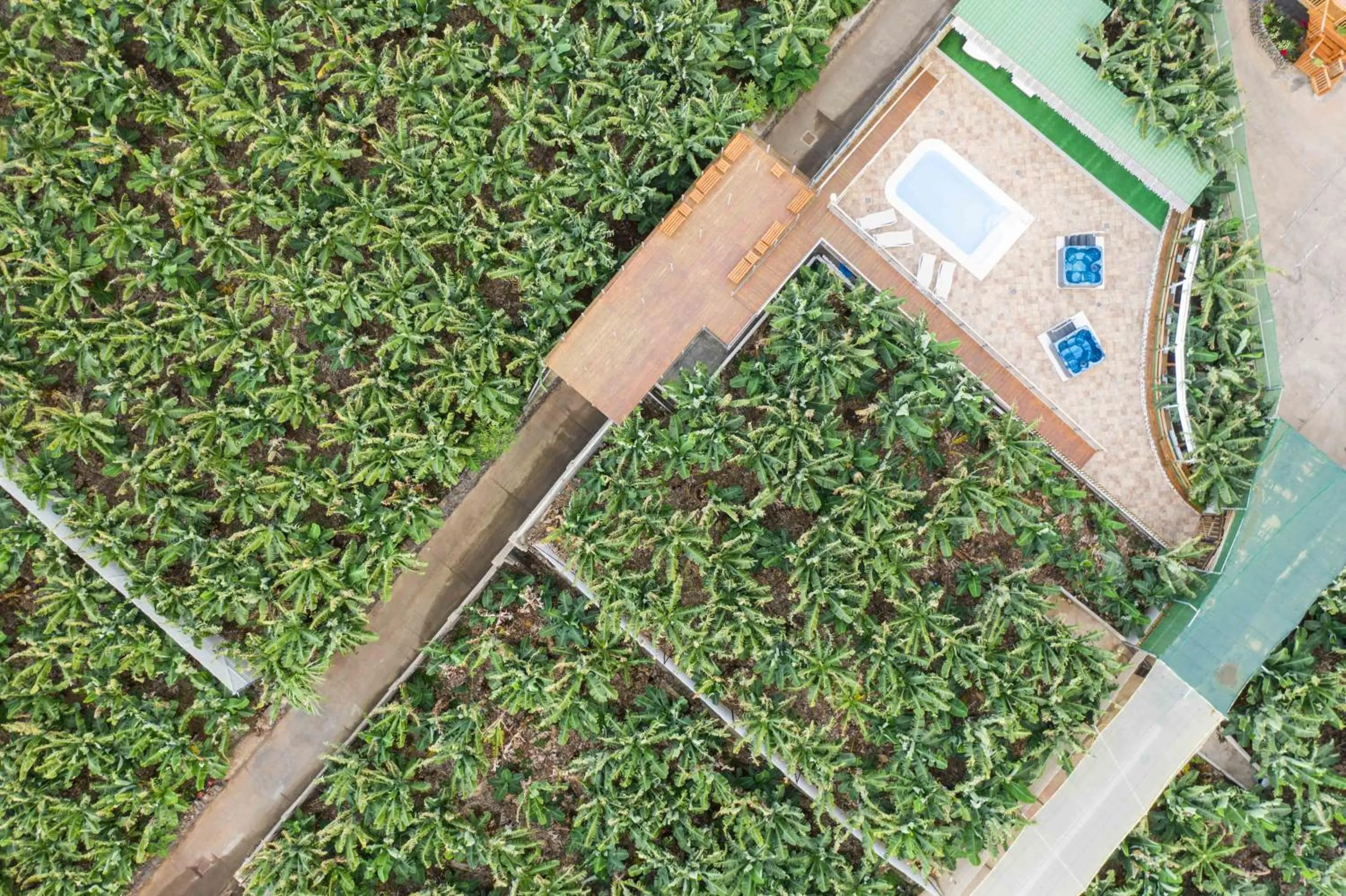 Bird's eye view in Hacienda La Dehesa (Only Adults)