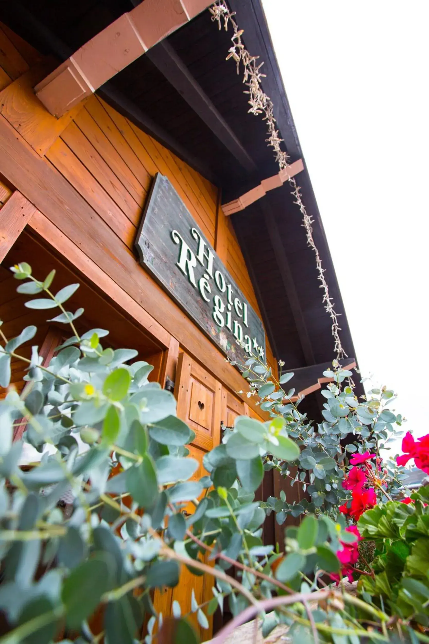 Twin Room in Chalet Hotel Régina Twin Room in Chalet Hotel Régina