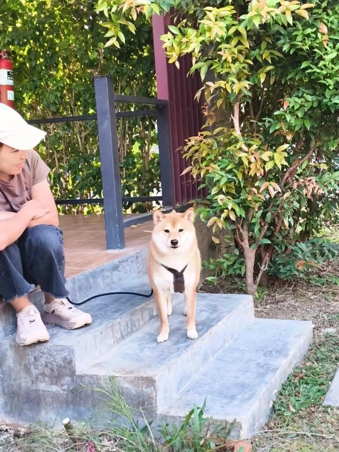 B-tel Chomthong resort Chiang mai