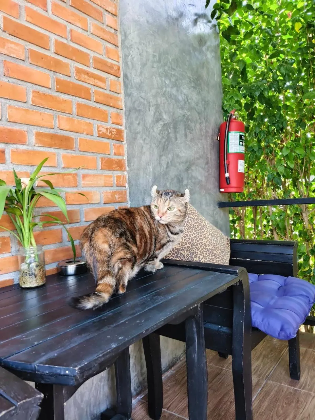 B-tel Chomthong resort Chiang mai