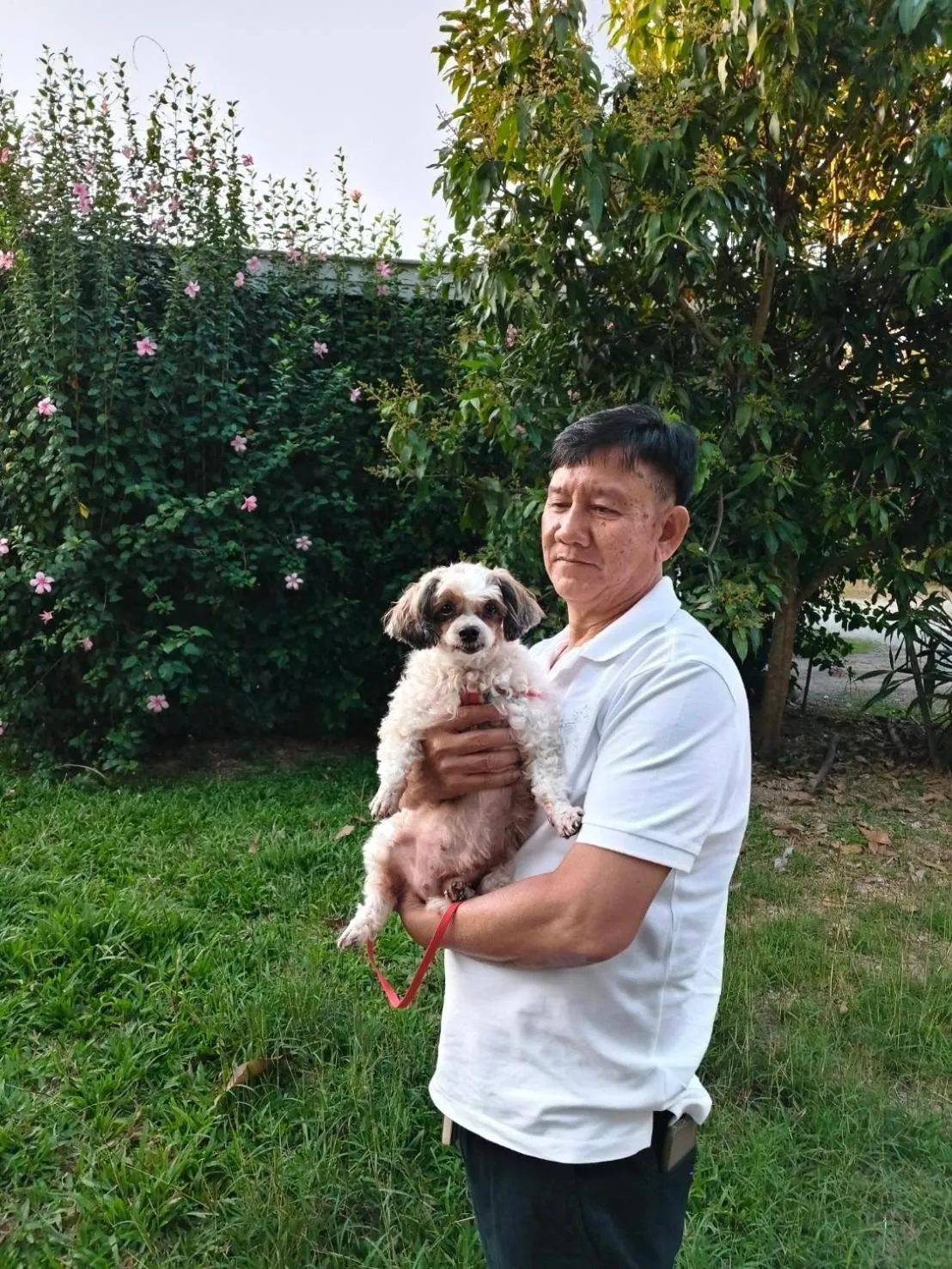 B-tel Chomthong resort Chiang mai