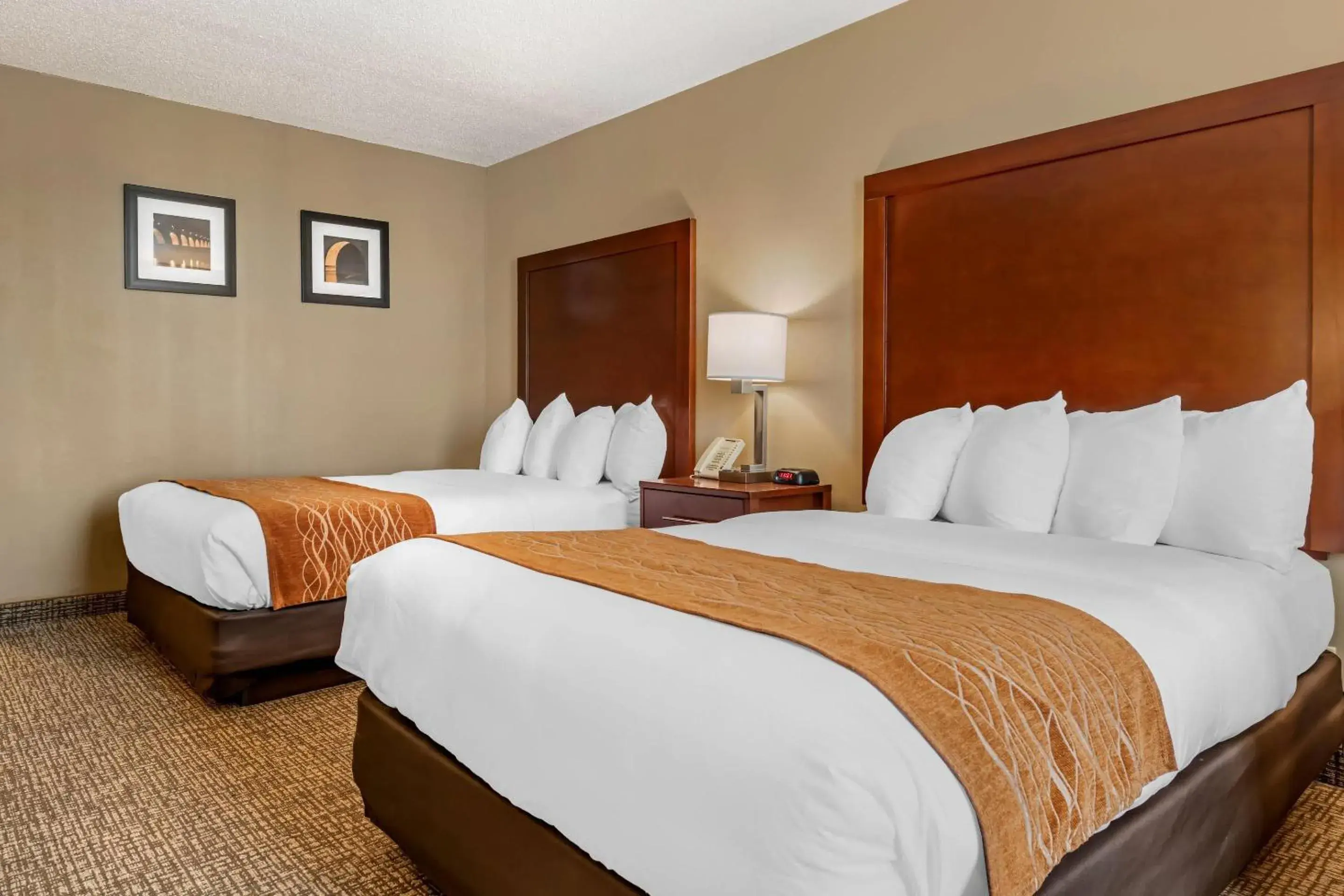 Bedroom, Bed in Comfort Inn MSP Airport - Mall of America Bedroom, Bed in Comfort Inn MSP Airport - Mall of America