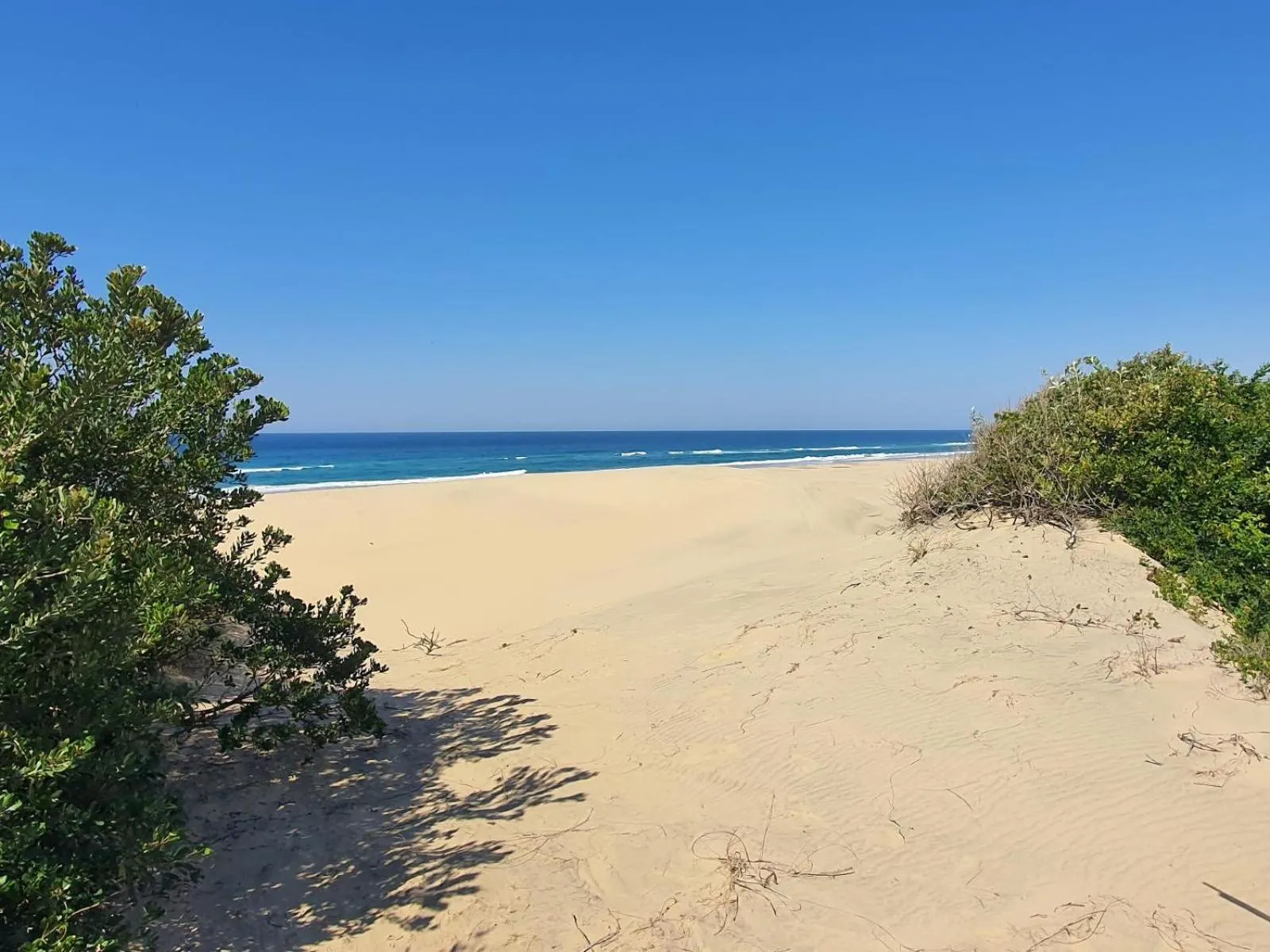 23 Manzini Chalets-Pumba's Den