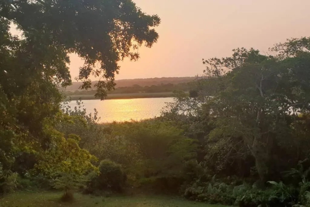 23 Manzini Chalets-Pumba's Den