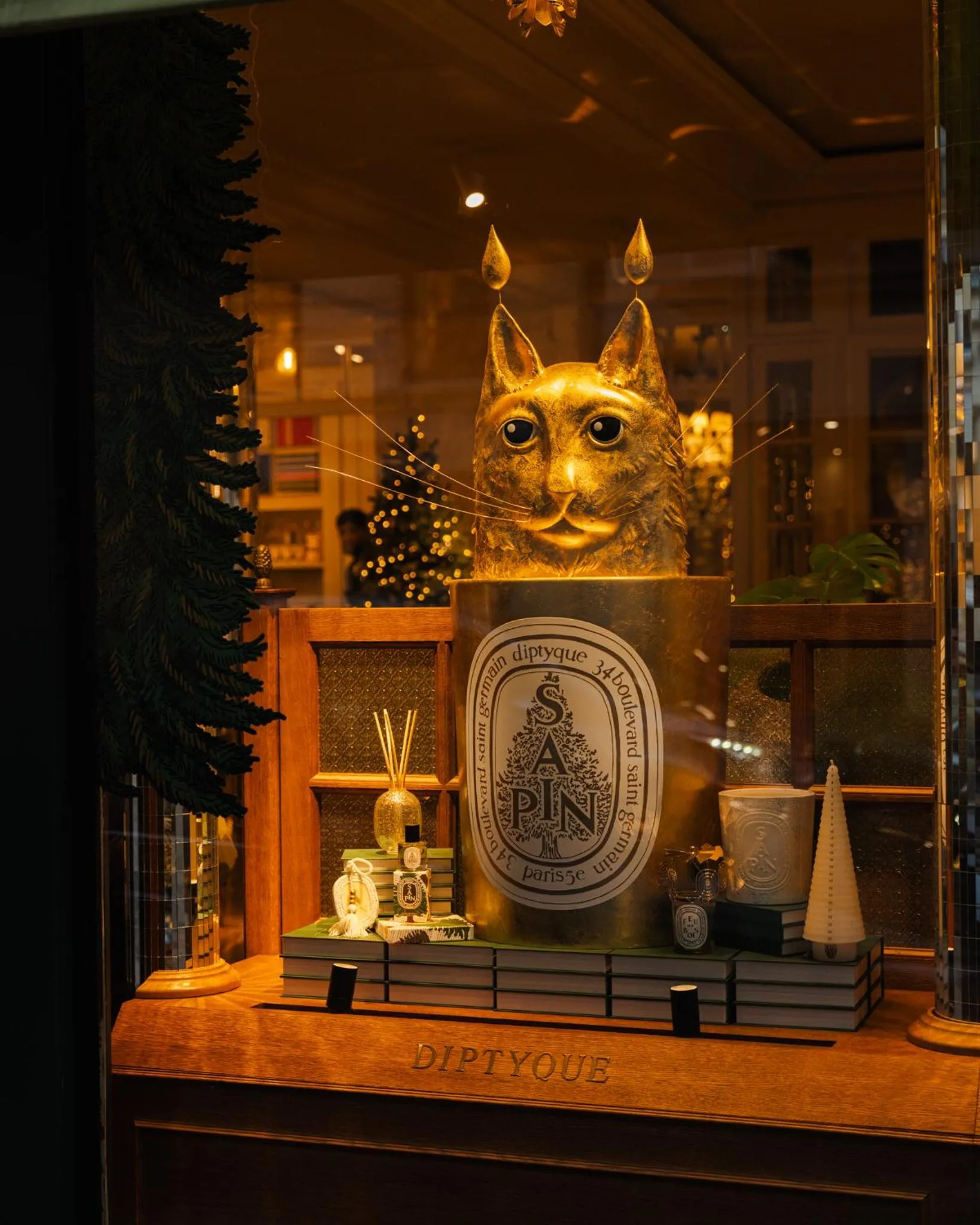 Shopping Area in Beausejour Ranelagh