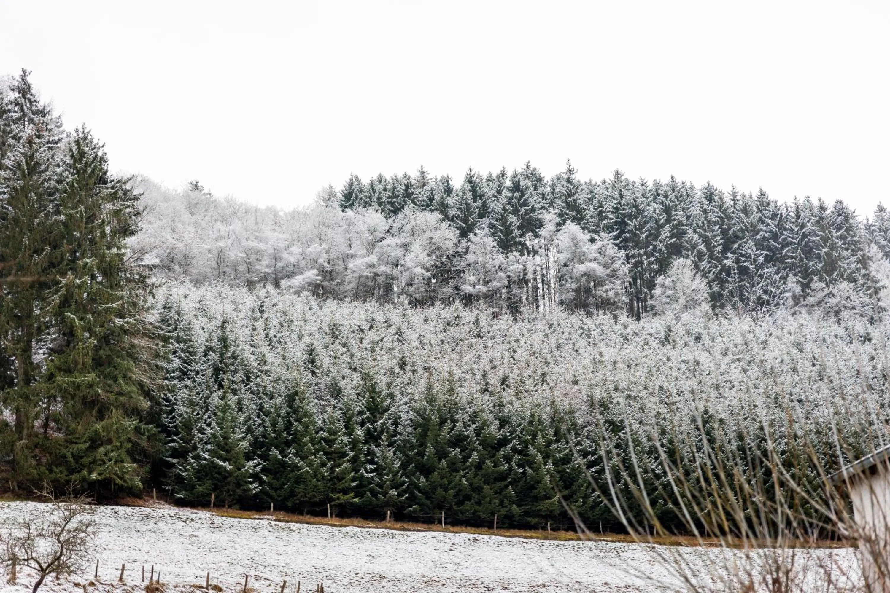 Garden in Hotel Tiefenhagen Sauerland