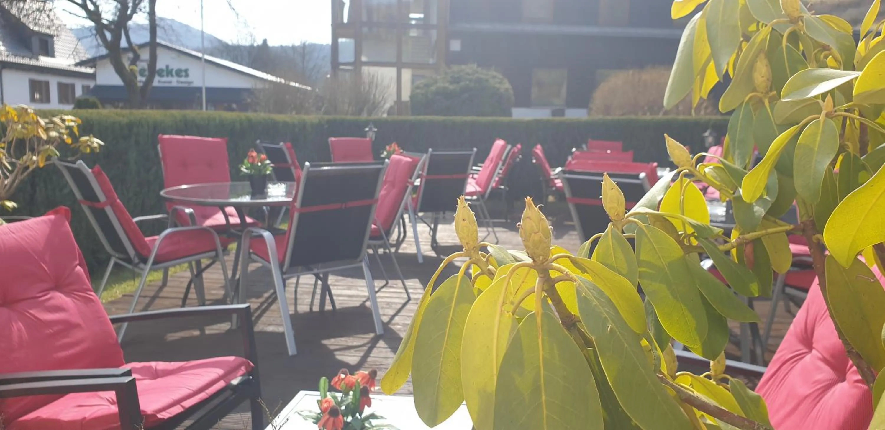 Balcony/Terrace in Hotel Tiefenhagen Sauerland