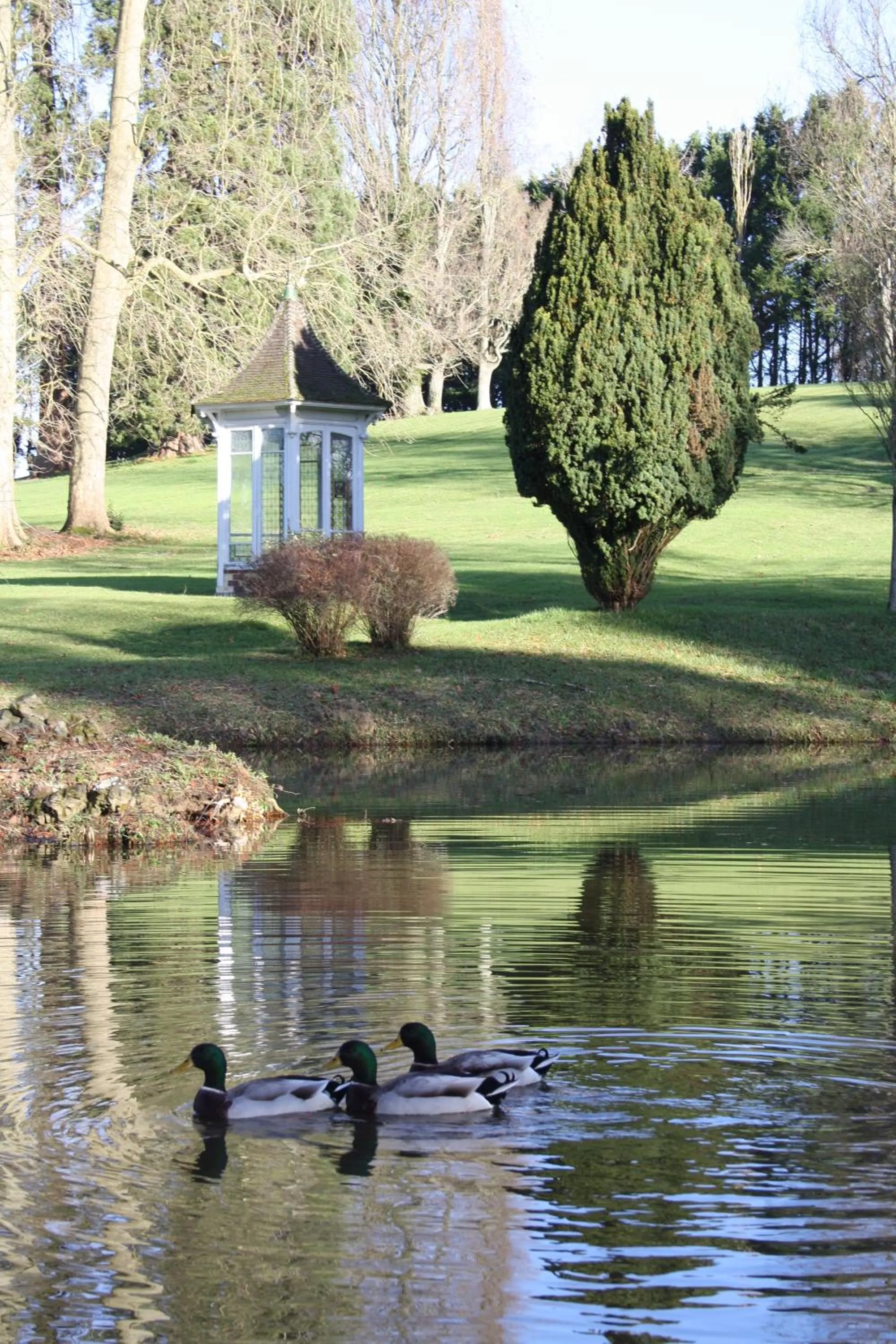 Garden view in Château de la Bribourdière