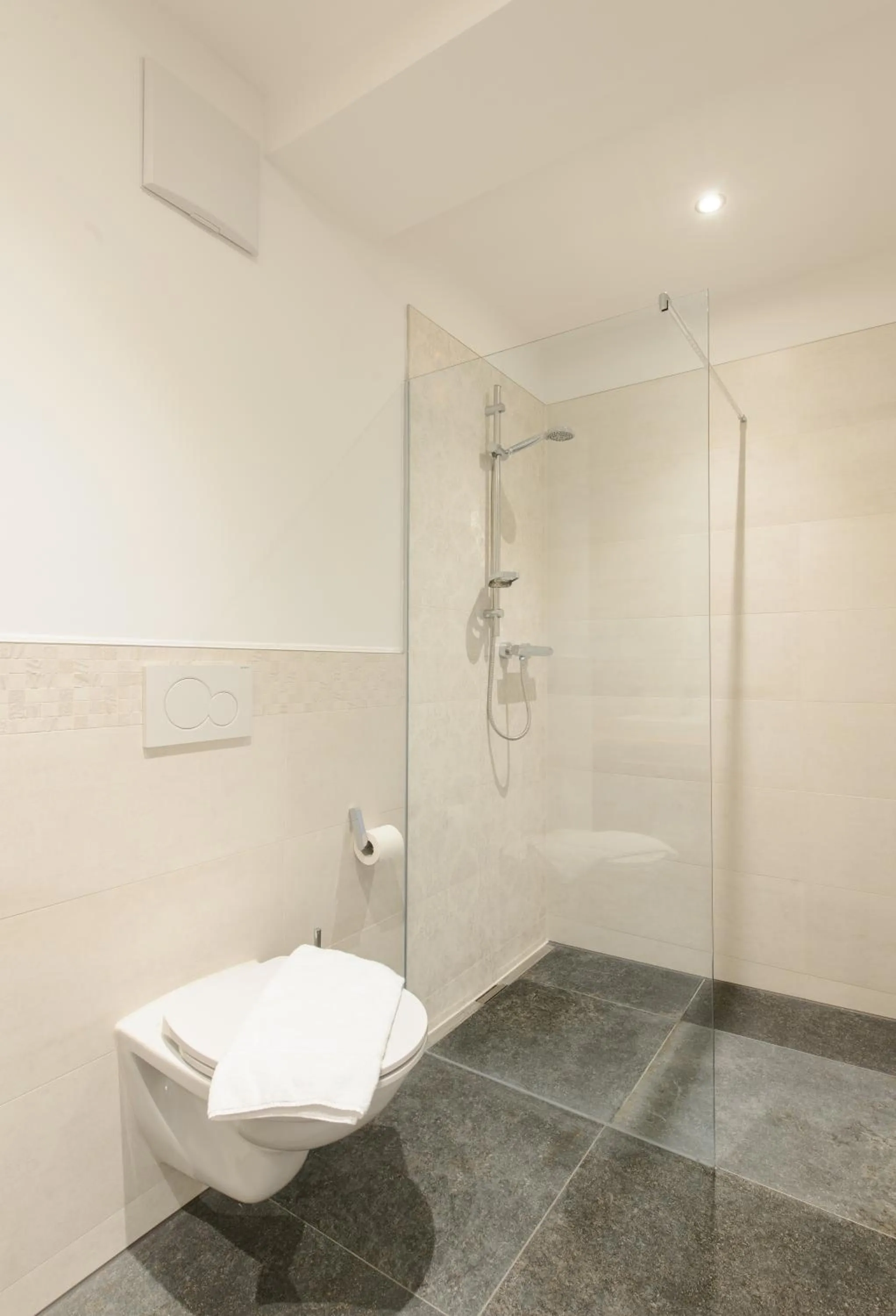 Shower in Kaiser Max Design Appartements