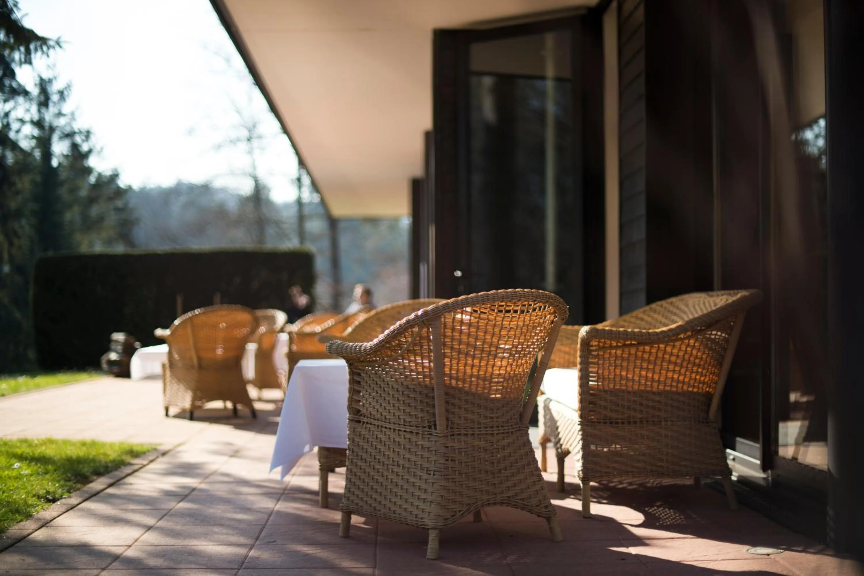 Patio in Restaurant Hôtel L'Arnsbourg