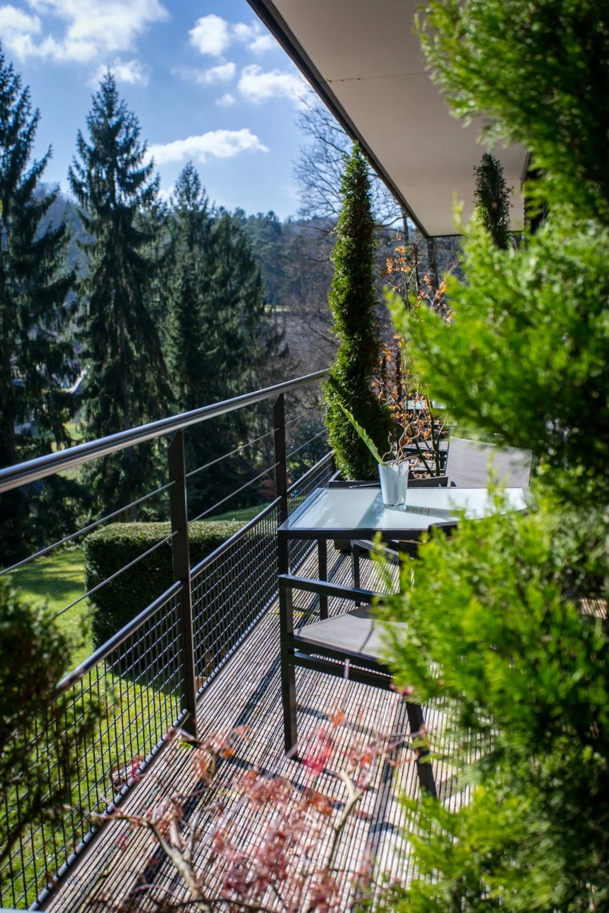 View (from property/room) in Restaurant Hôtel L'Arnsbourg