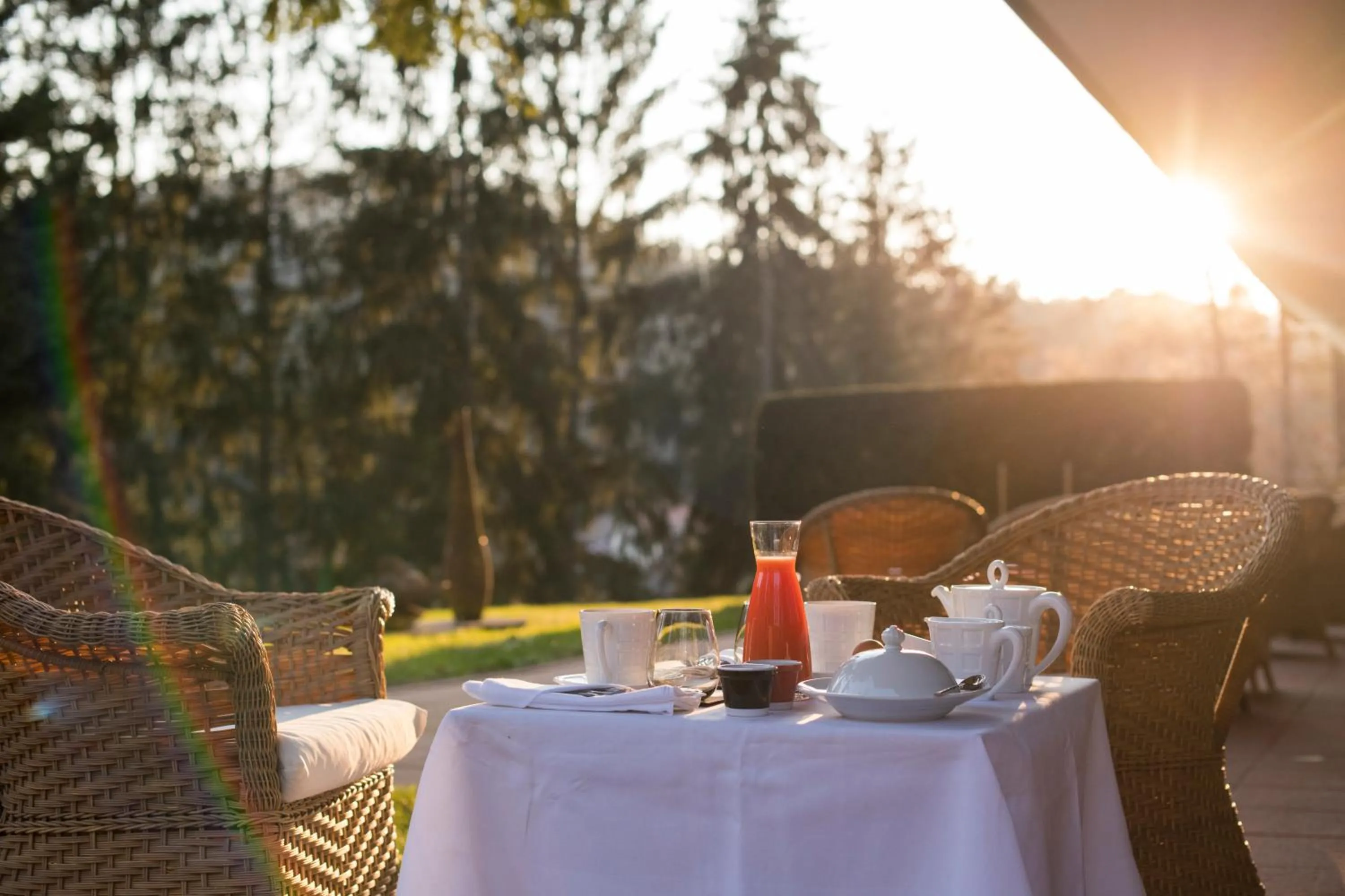 Natural landscape in Restaurant Hôtel L'Arnsbourg