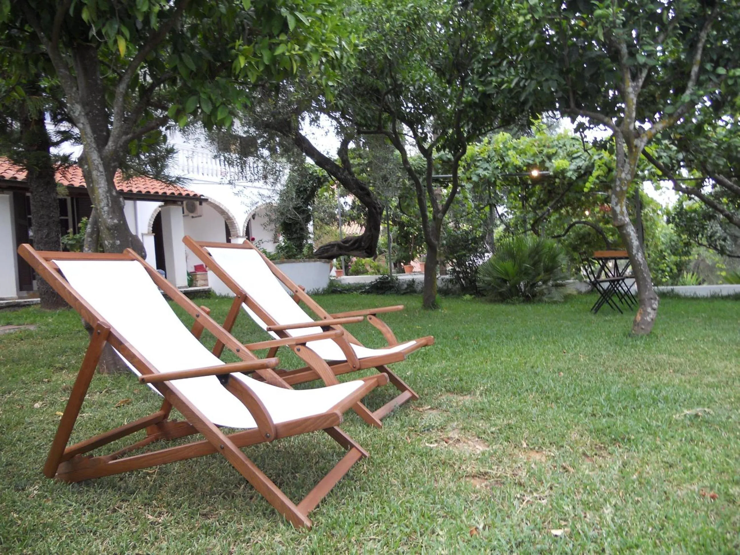 Garden in Gina Studios