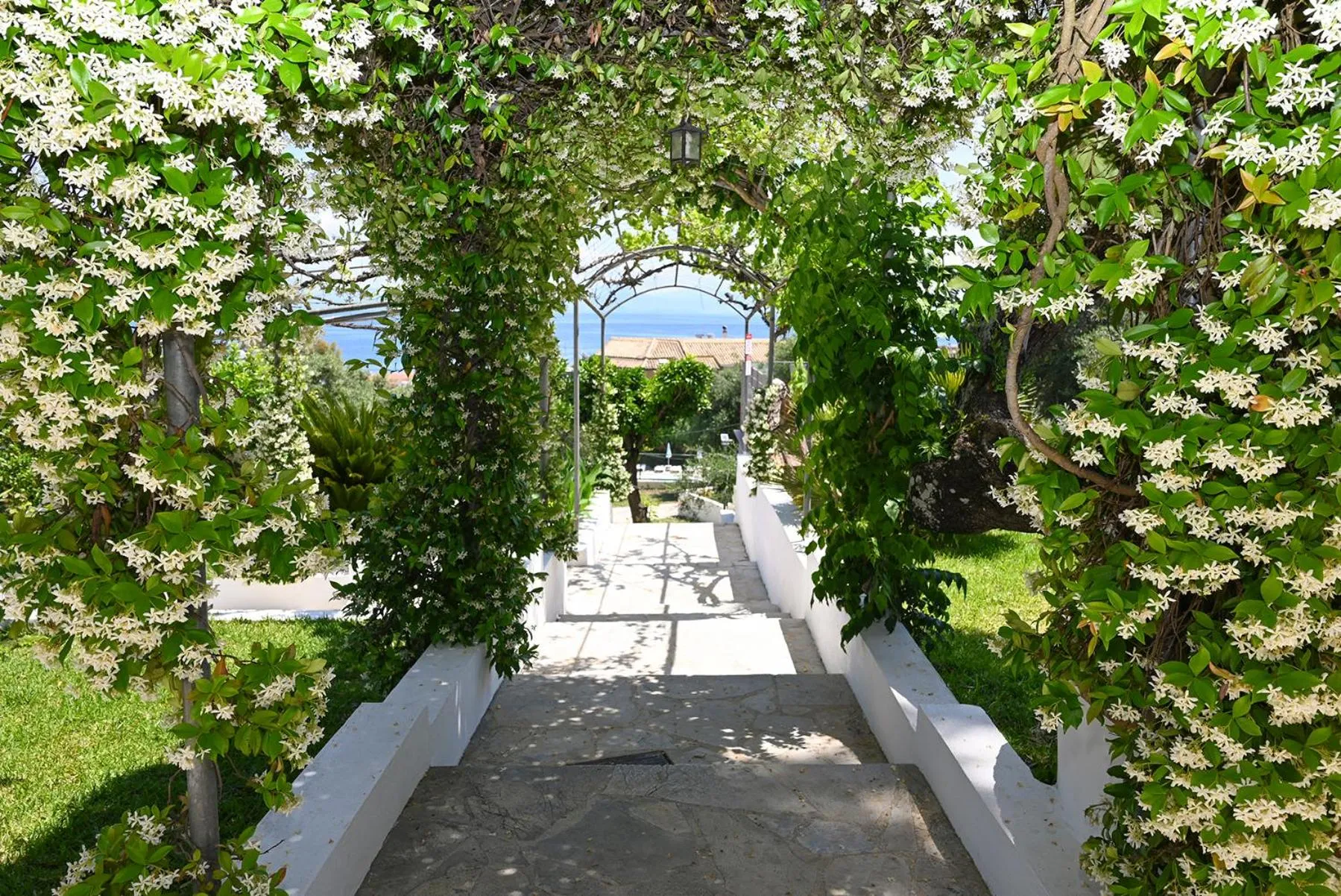 Garden in Gina Studios