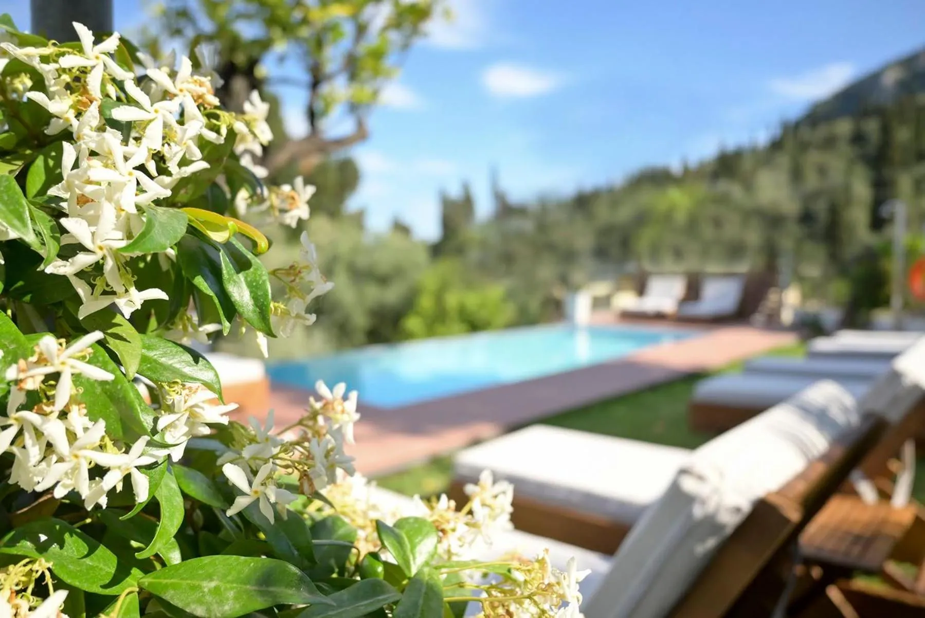 Garden in Gina Studios