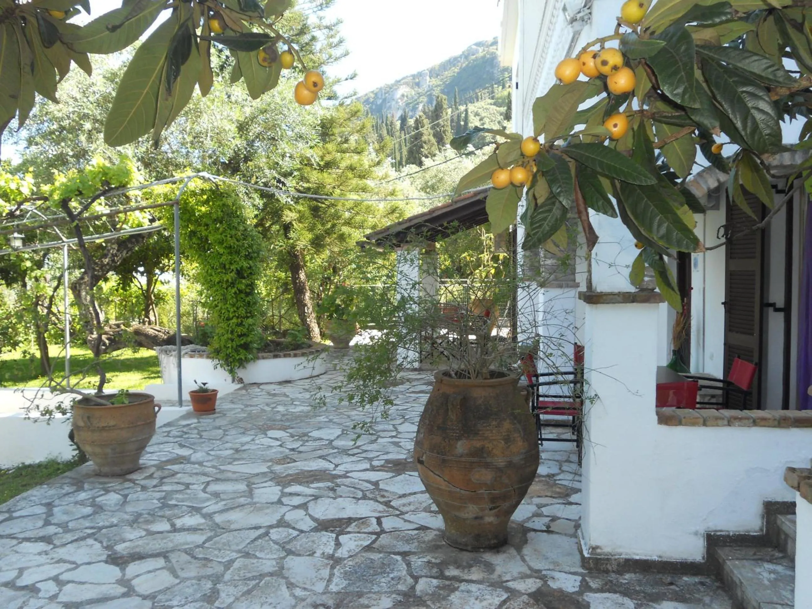 Property building in Gina Studios