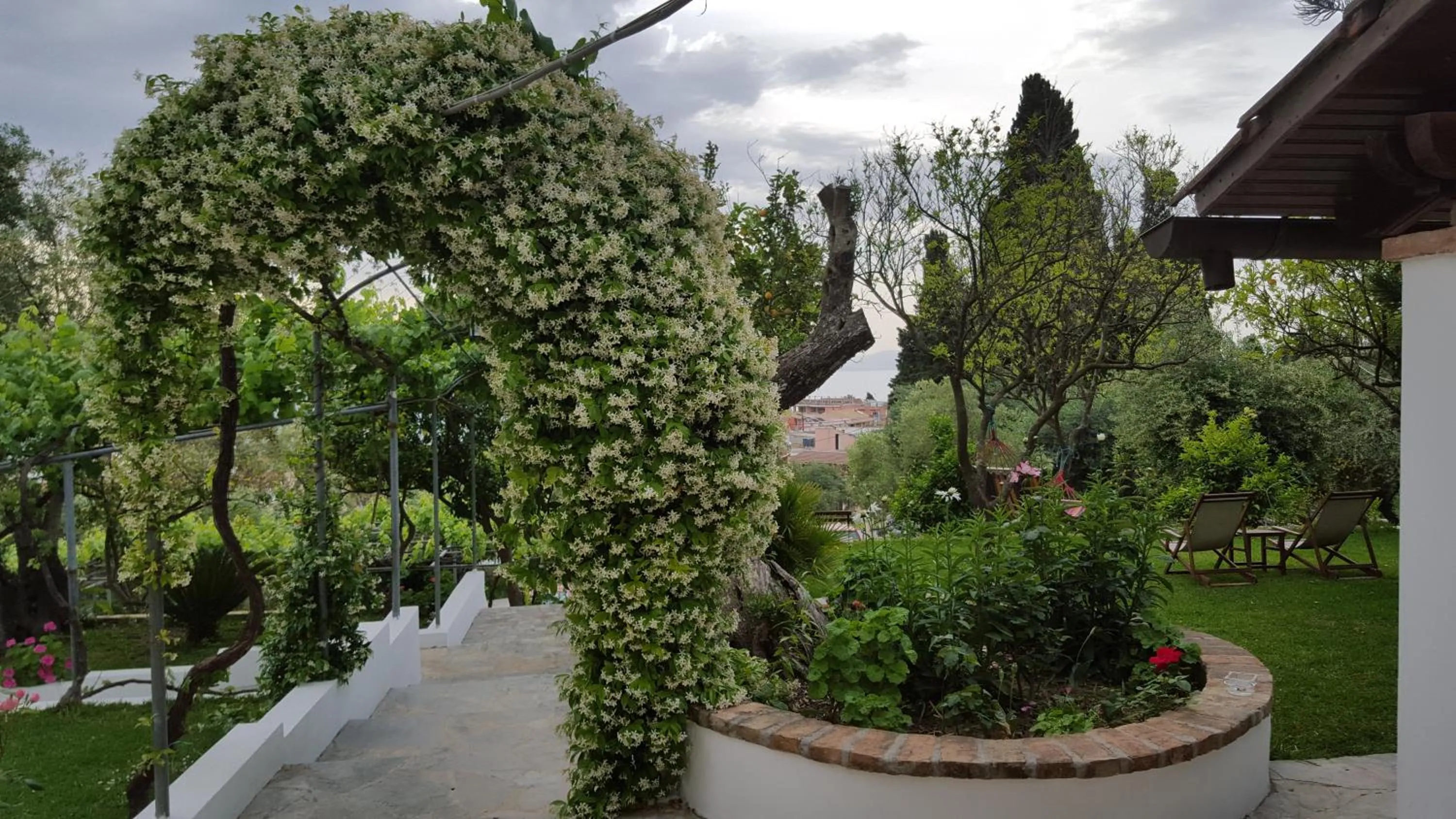 Garden in Gina Studios