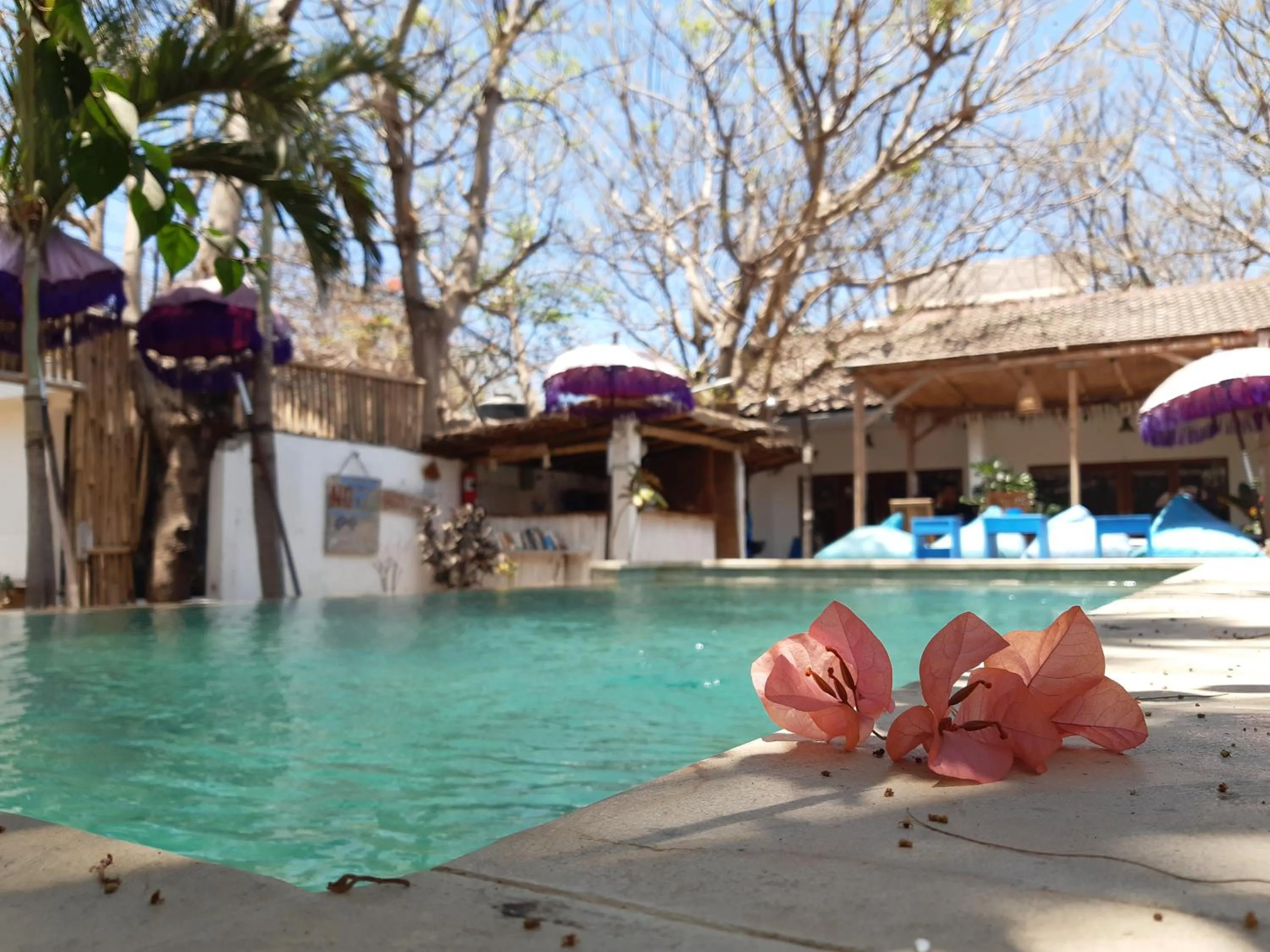 Property building in Dream Hotel