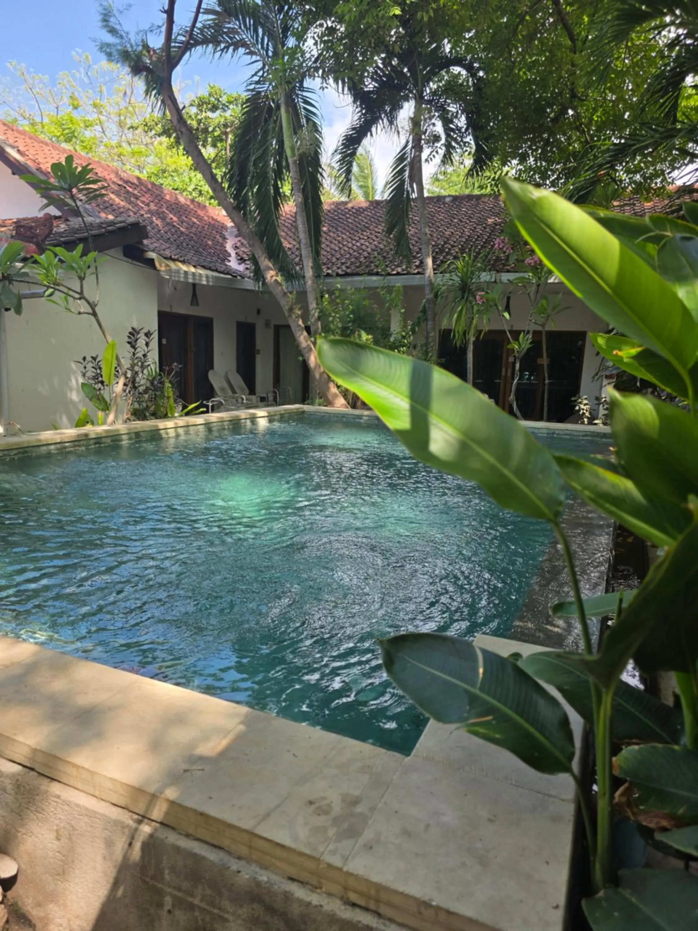 Pool view in Dream Hotel