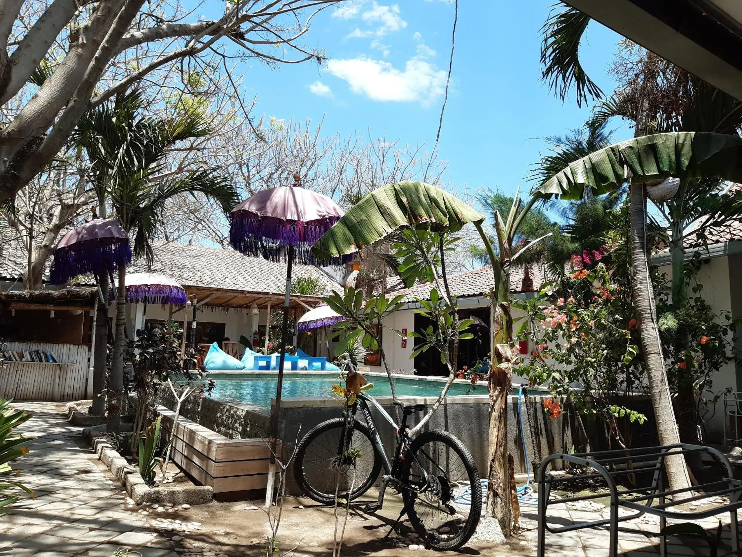 Garden view in Dream Hotel Garden view in Dream Hotel