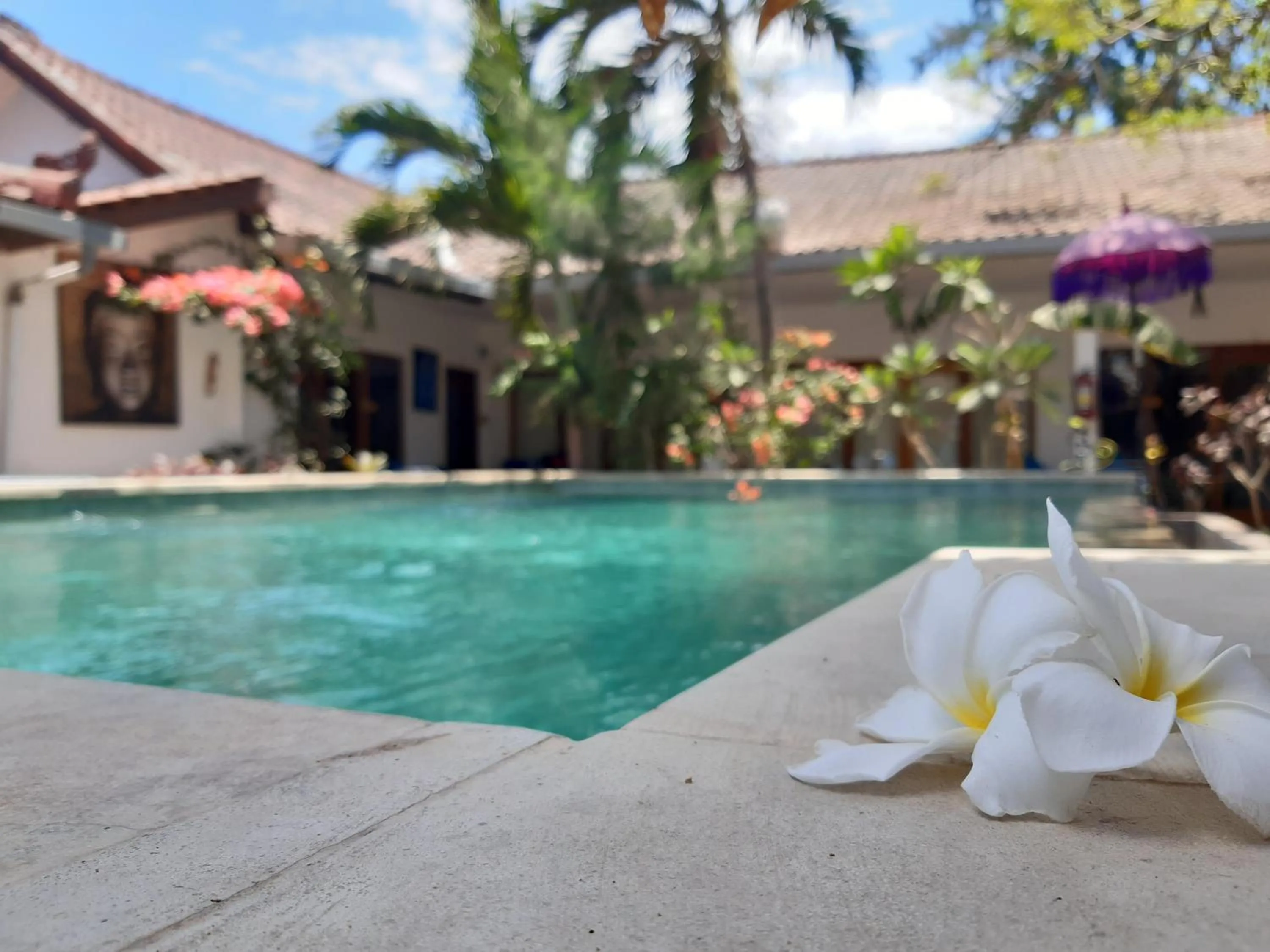 Pool view in Dream Hotel