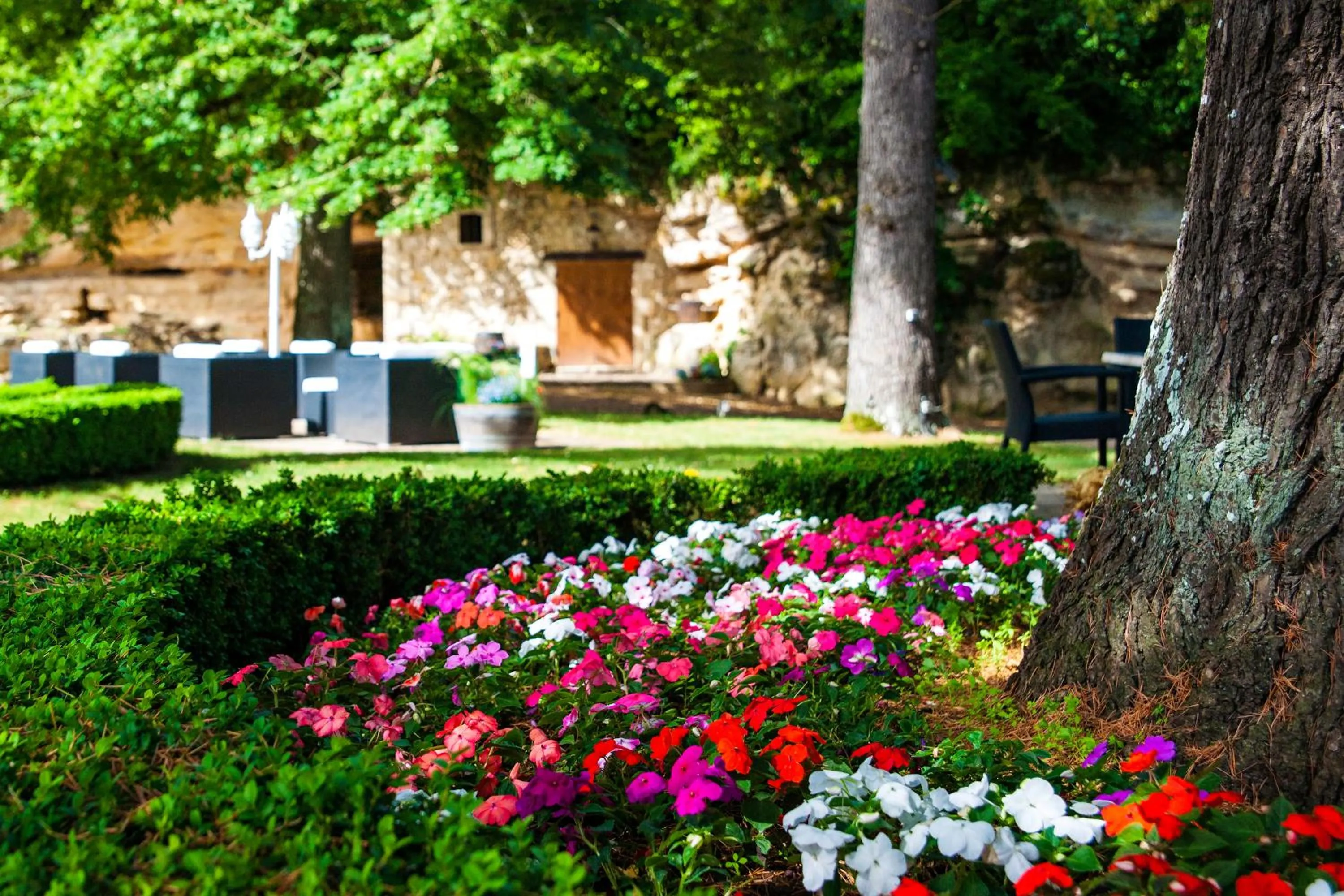 Garden in Hôtel Restaurant du Château de la Tour