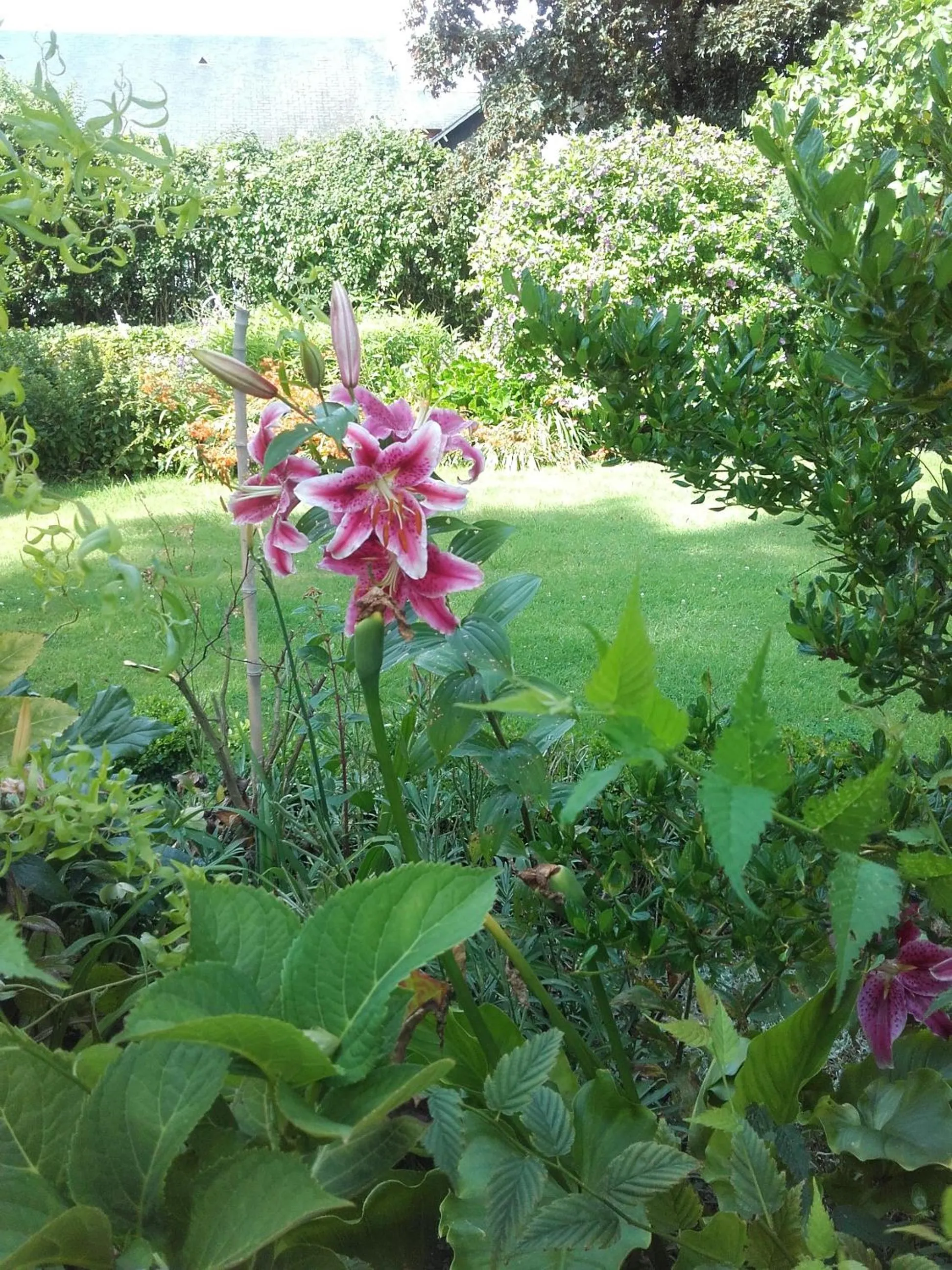 Chambres d'hôtes Manoir du Buquet