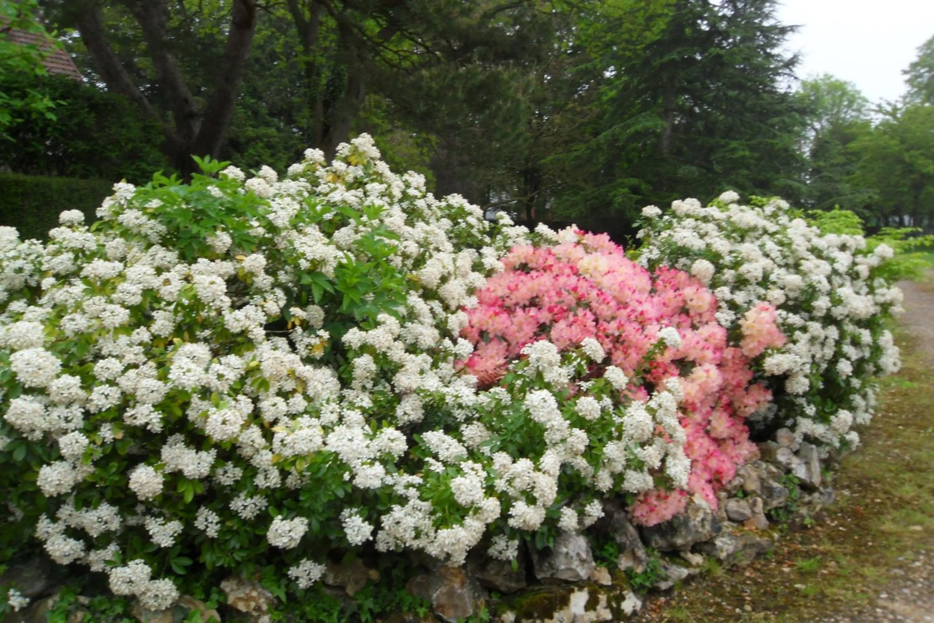 Chambres d'hôtes Manoir du Buquet