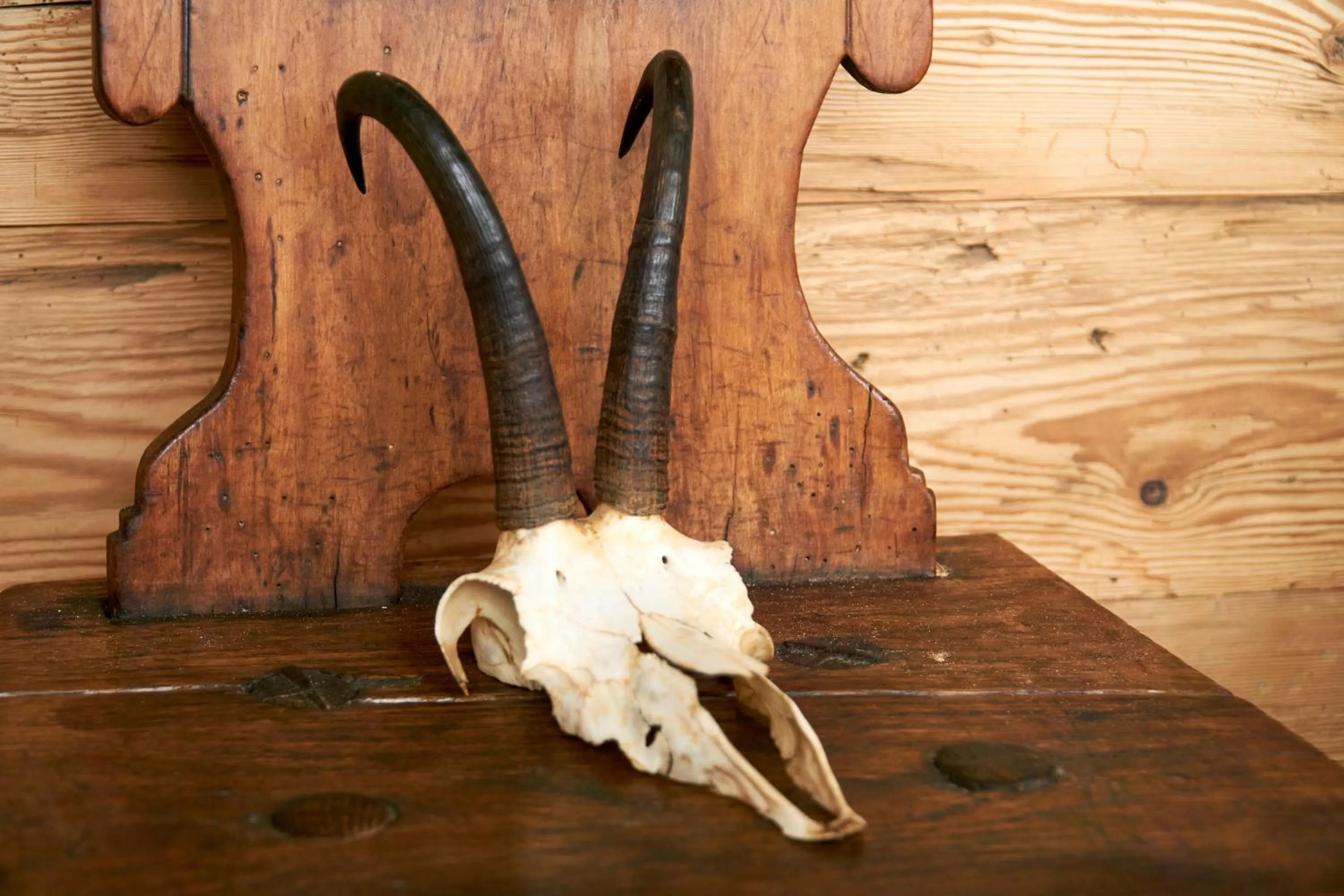 Decorative detail in UNSER VORSÄSS - Geißkopf