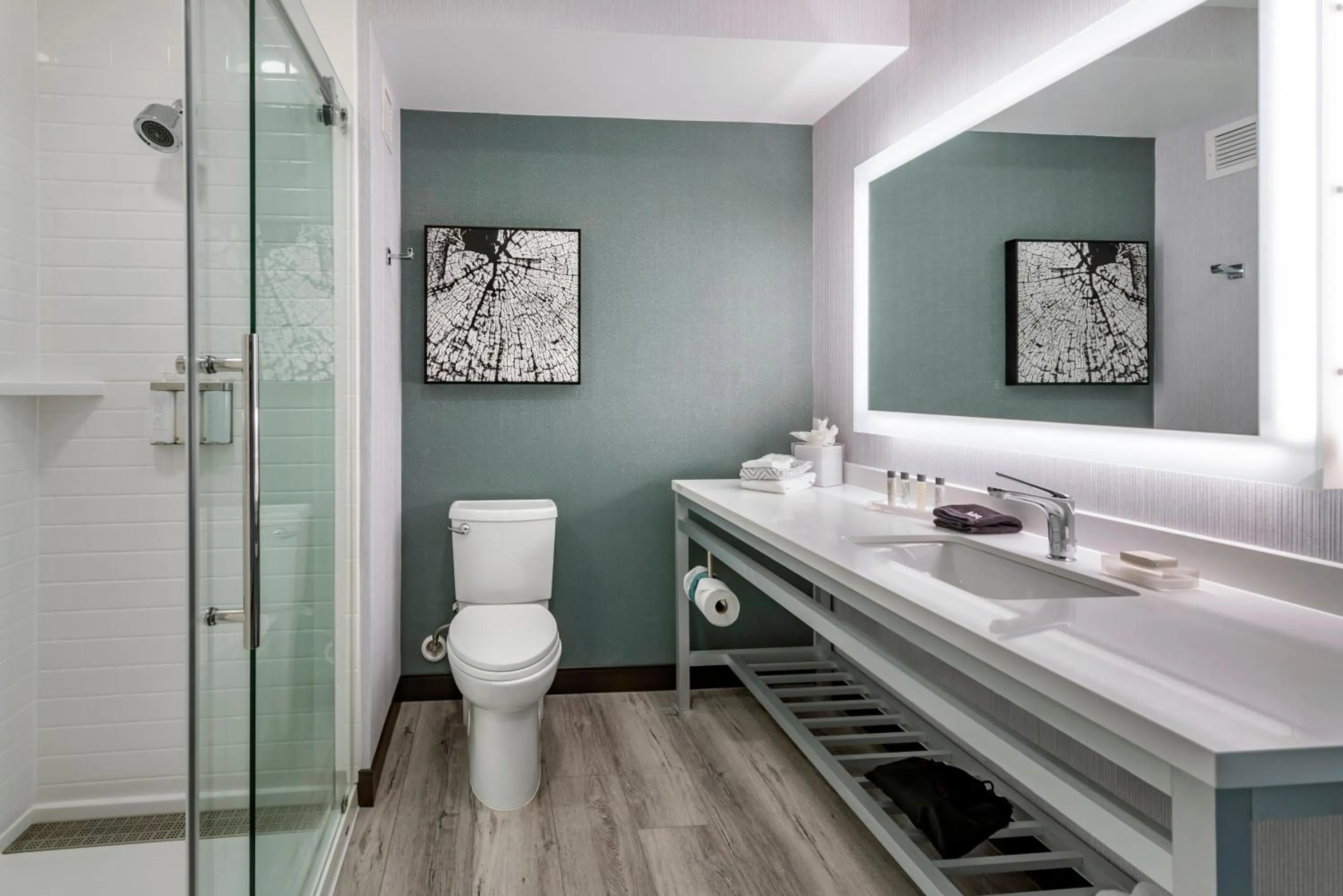 Bathroom in Cambria Hotel Shelby Township - Detroit Utica