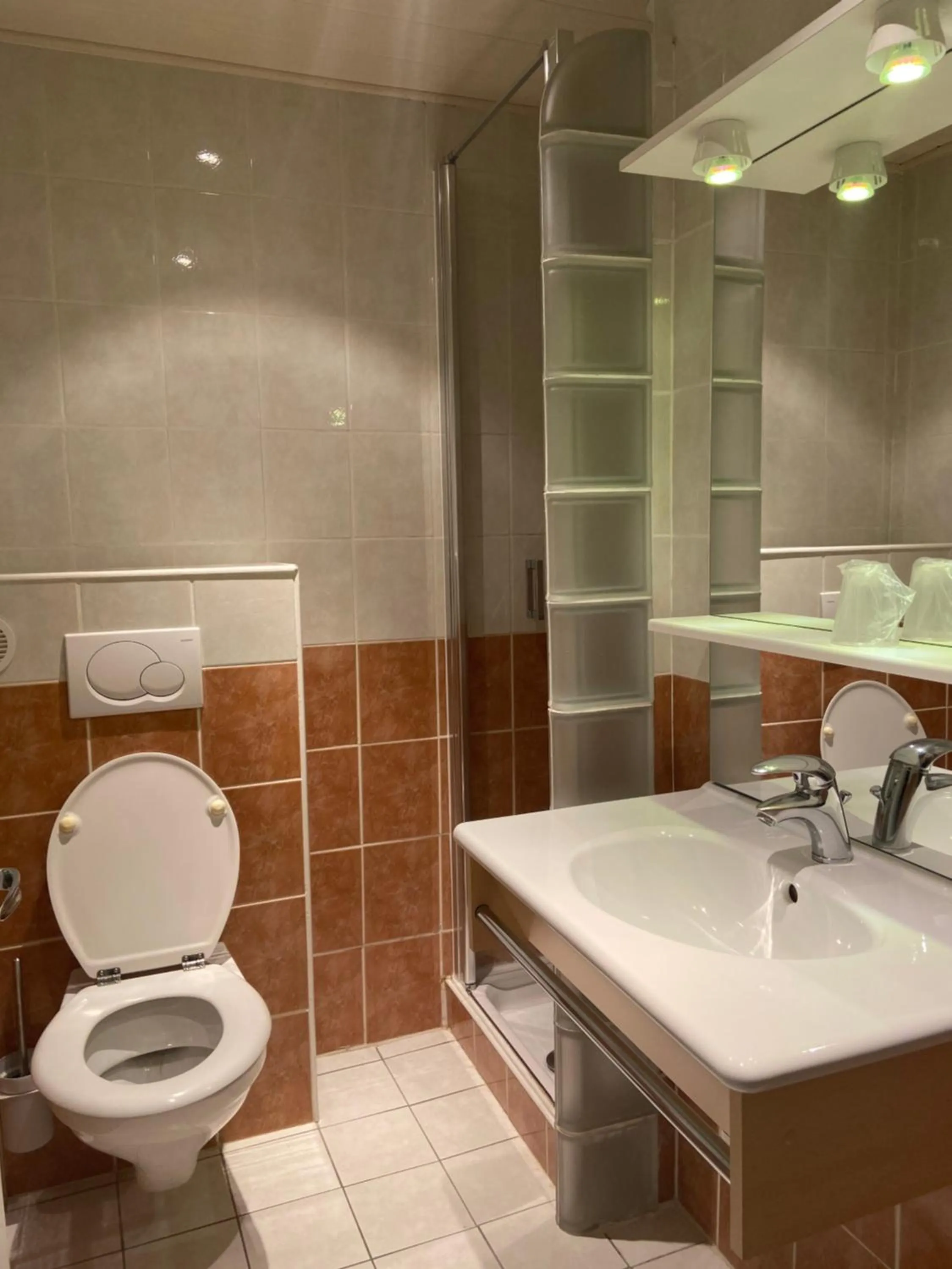 Shower in Auberge de la Dranse