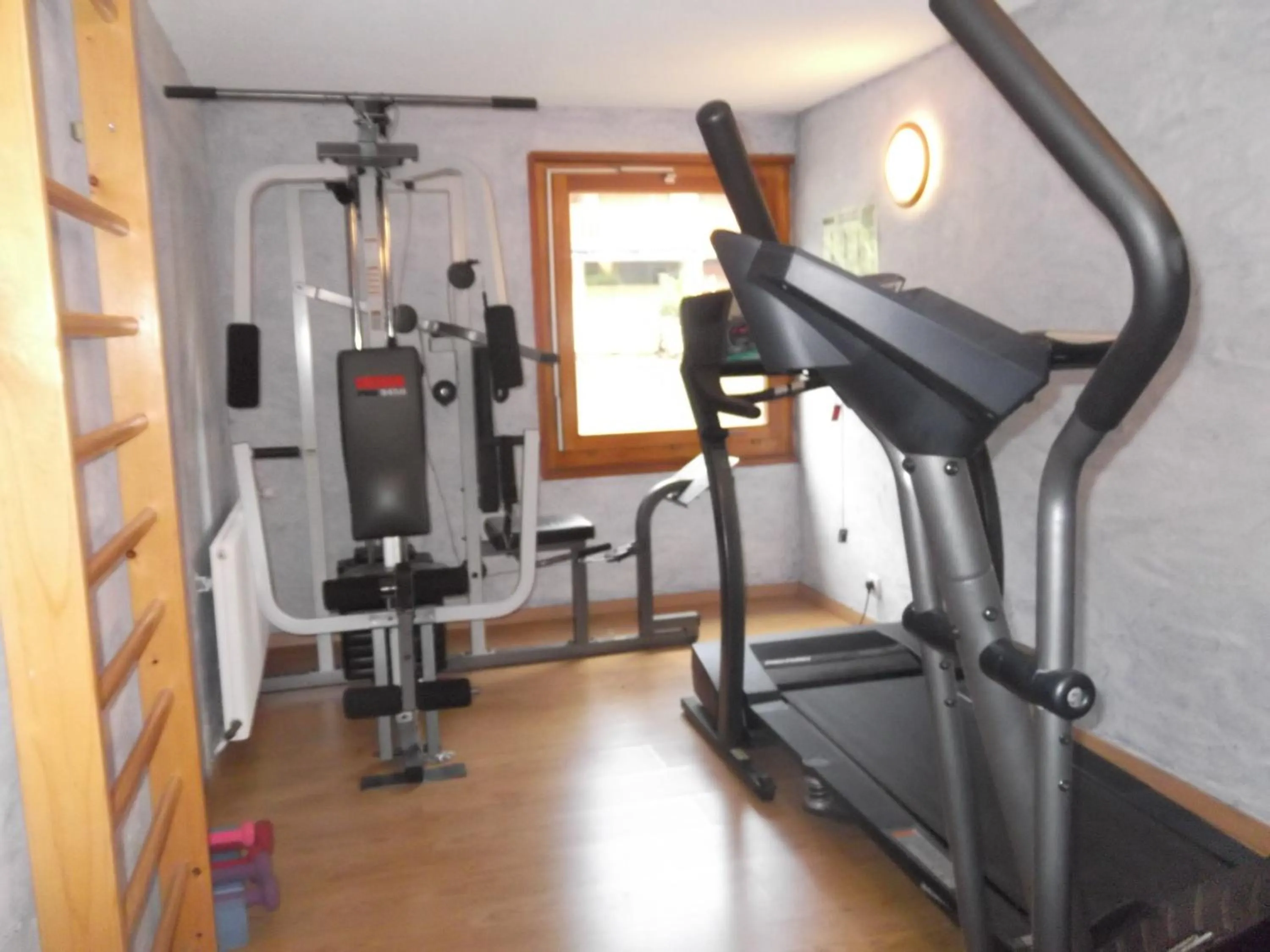 Fitness centre/facilities in Auberge de la Dranse