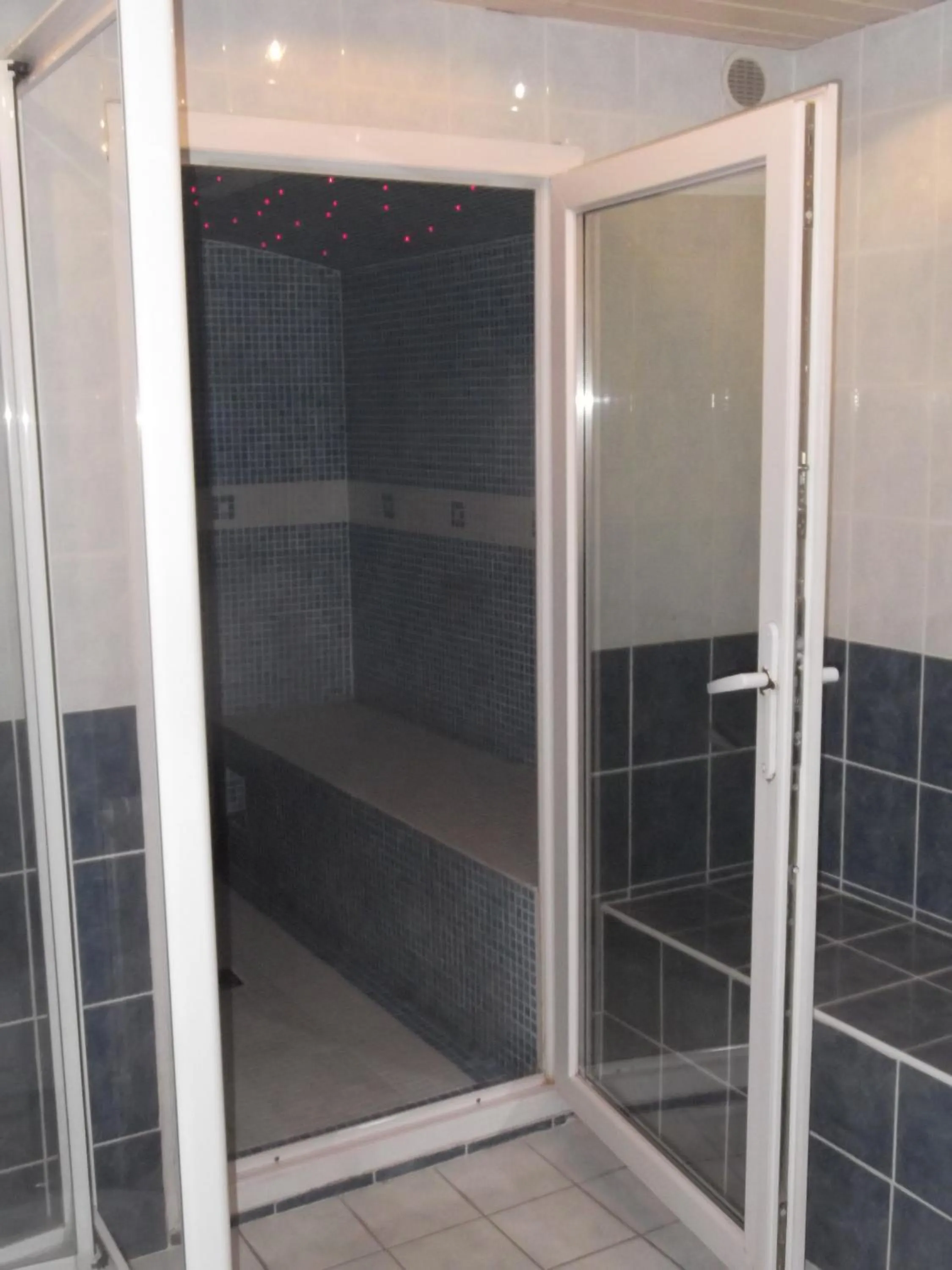 Steam room in Auberge de la Dranse