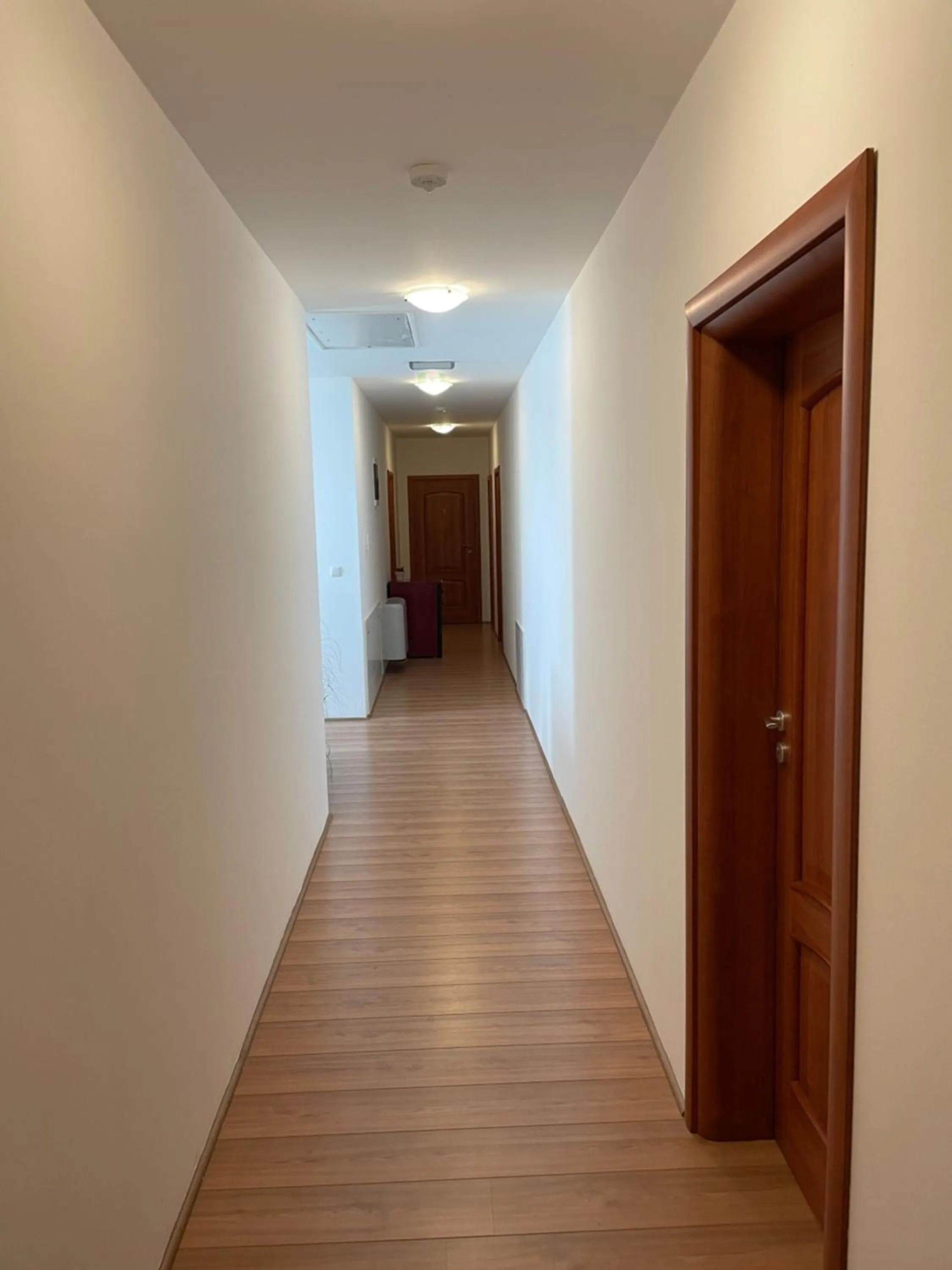 Property building in Mayer Pince Panzió